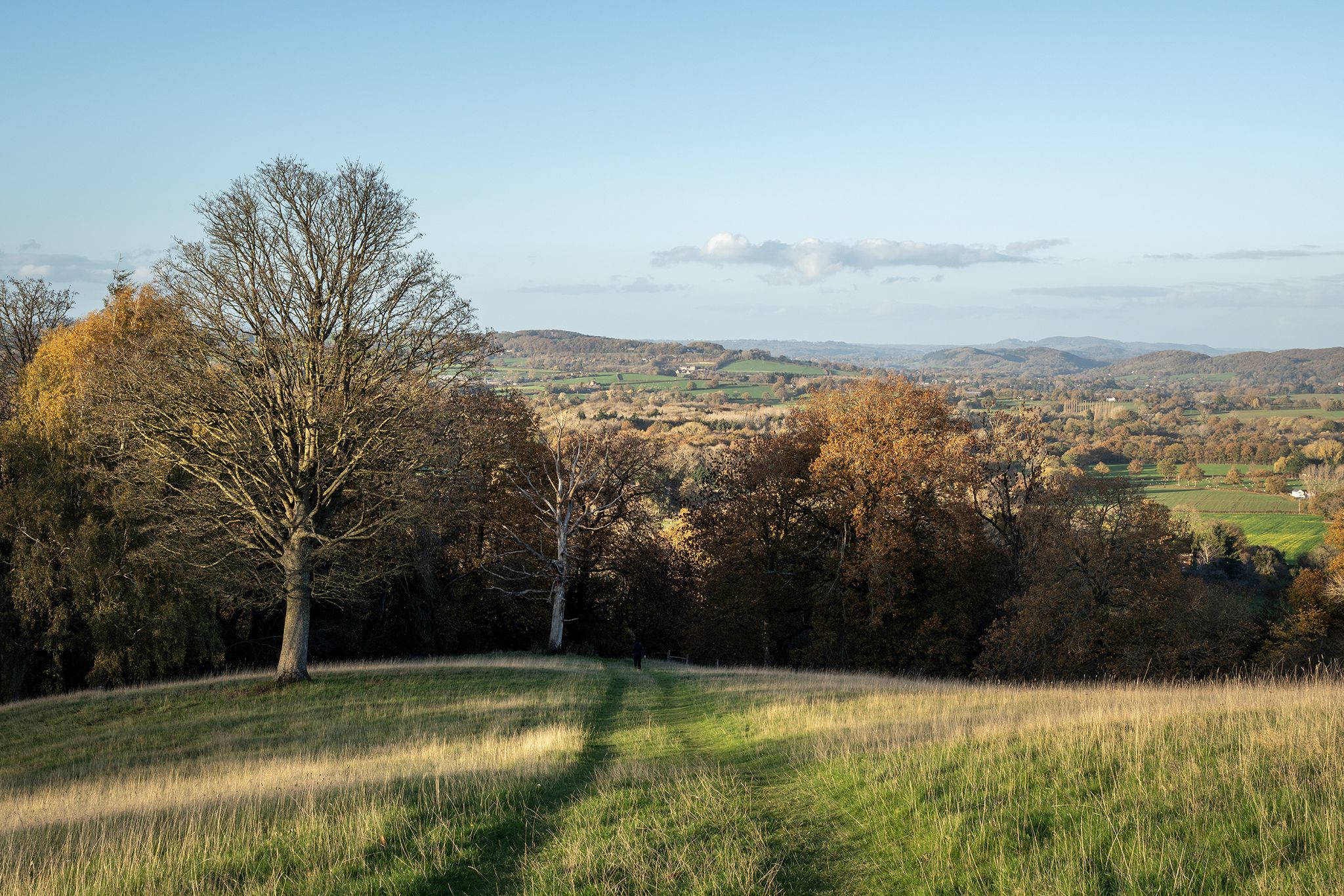 The view north