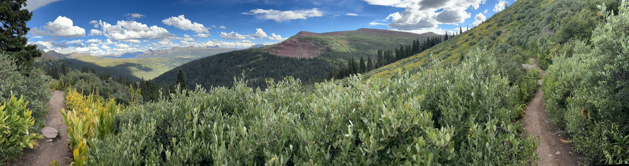 Two dirt trails wind through lush green mountain landscape under a bright sky. - Colorado Trail: Segment 25