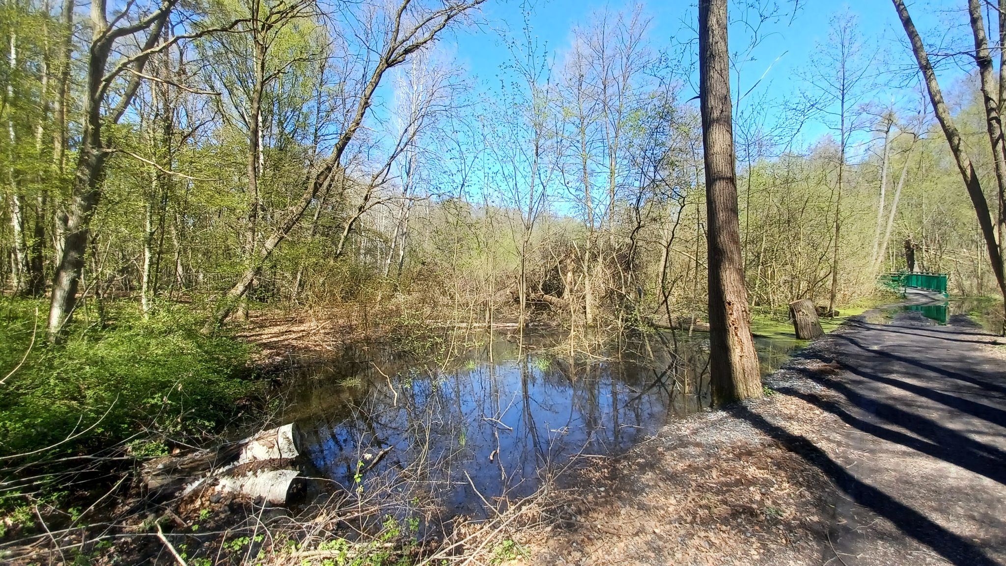 Feuchtgebiet Gierwiese