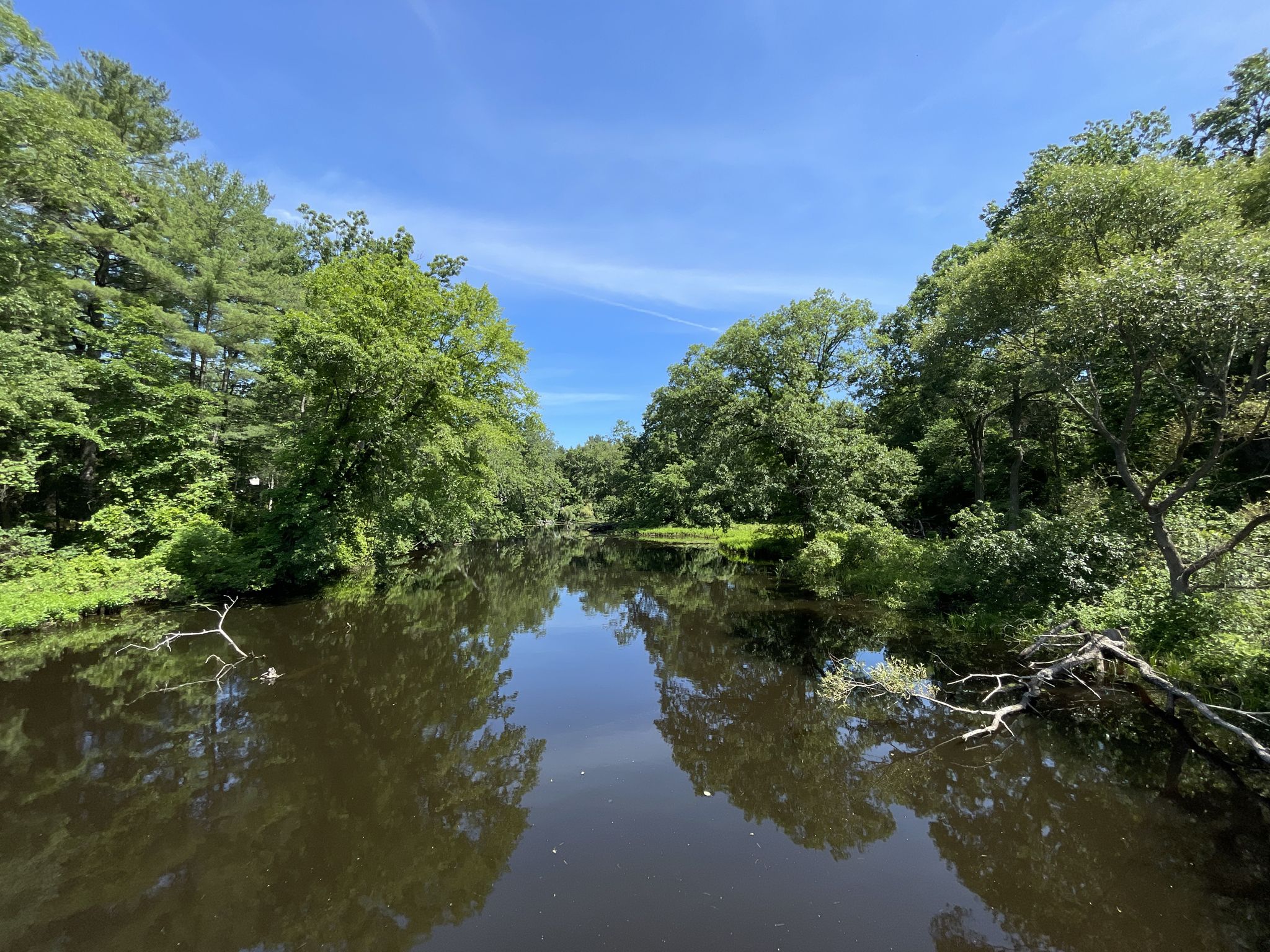 Wide river reflecting blue sky and green trees on a sunny day. - Powisset Street – Hartford Street loop from Hersey