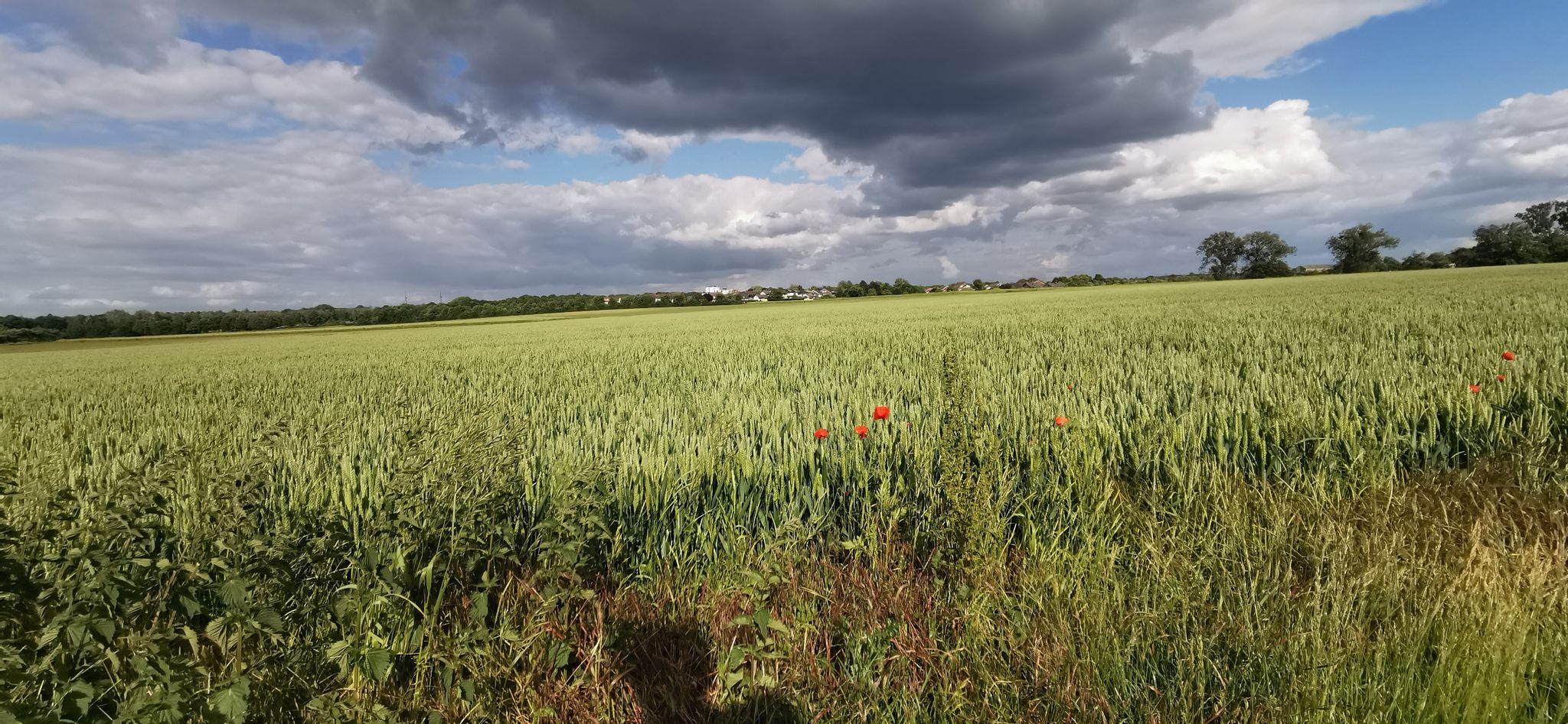 Blick nach Beckum