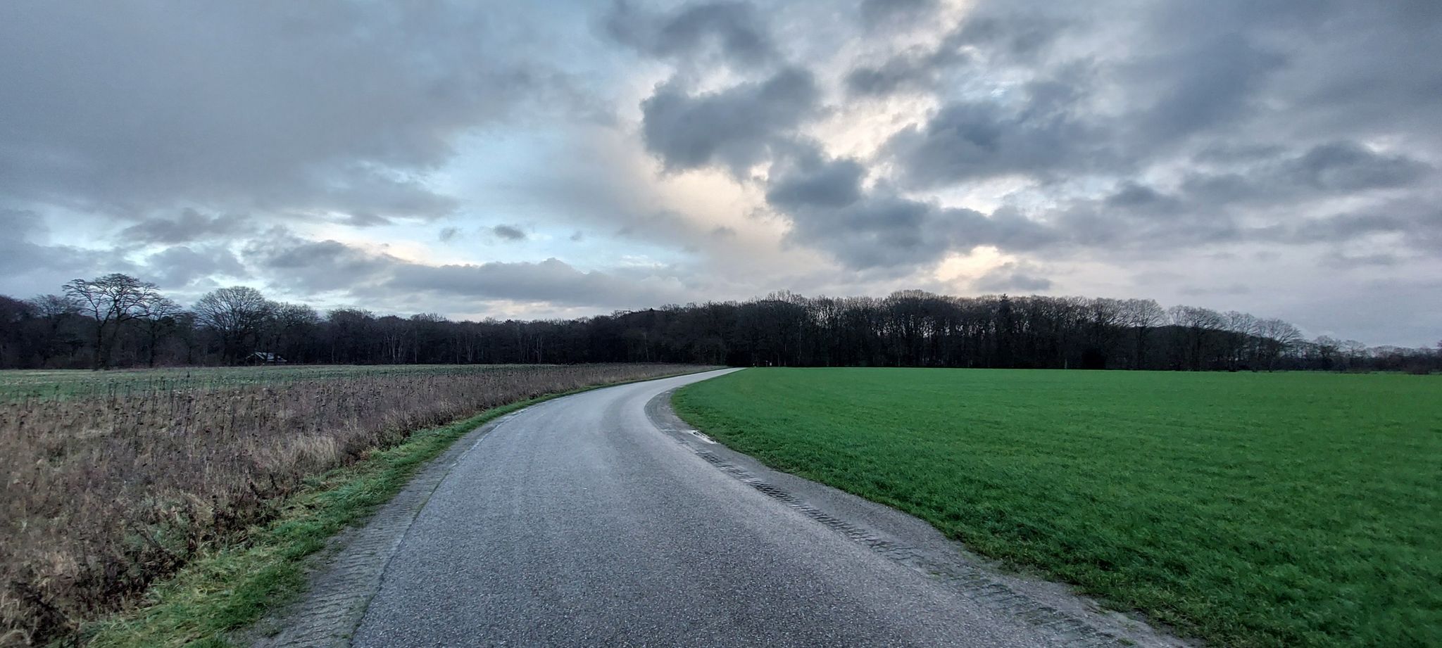 De Hooidijk, hier weer landbouw, de mooie natuur aan de Hooidijk hadden we zojuist achter ons gelaten