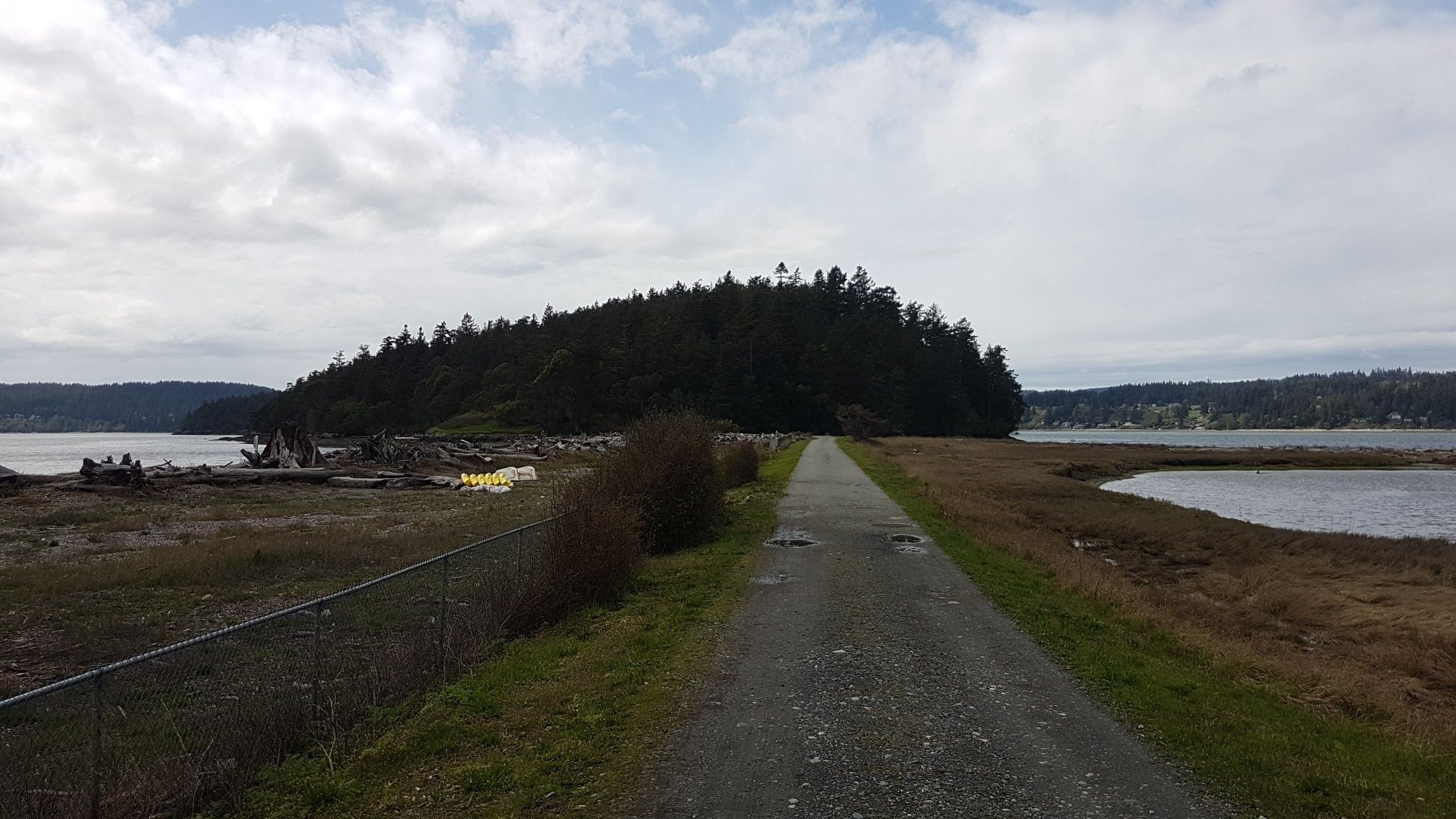 Overcast view of a gravel path leading to a forested island. - Kukutali Preserve loop from Kukutali Preserve