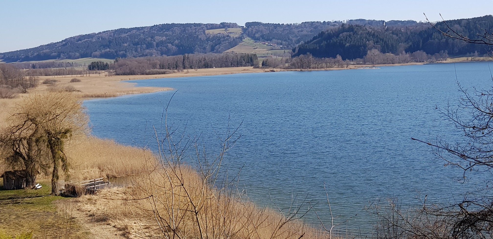 Ostseite Simssee