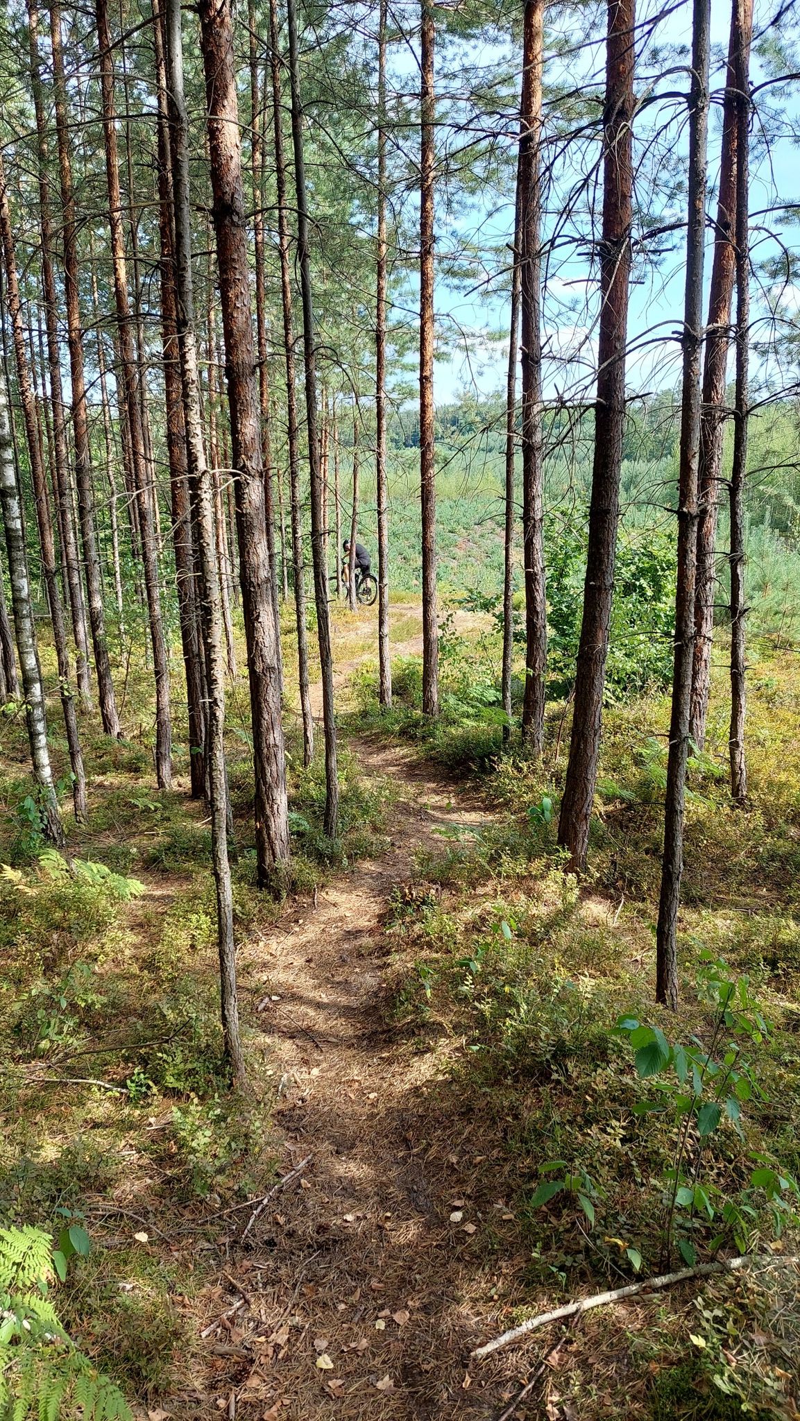 Wijący się singletrack
