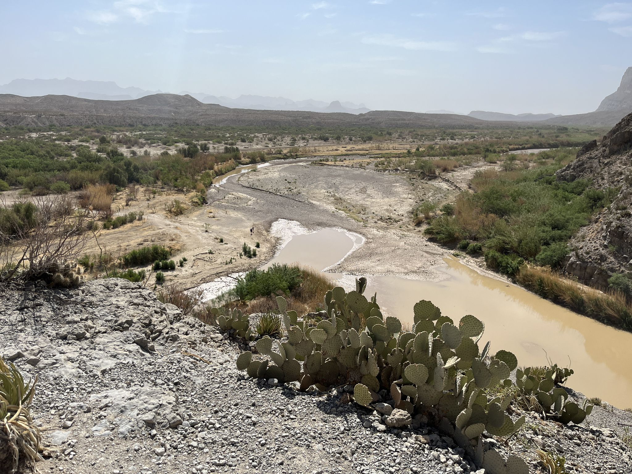 Elevated view of a muddy river in a desert valley with cacti. - Santa Elena Canyon Trail