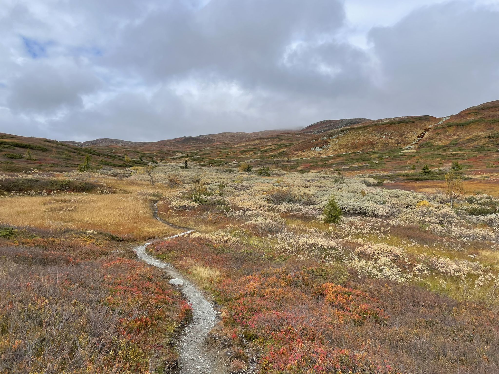 Beautiful, beautiful singletrack.