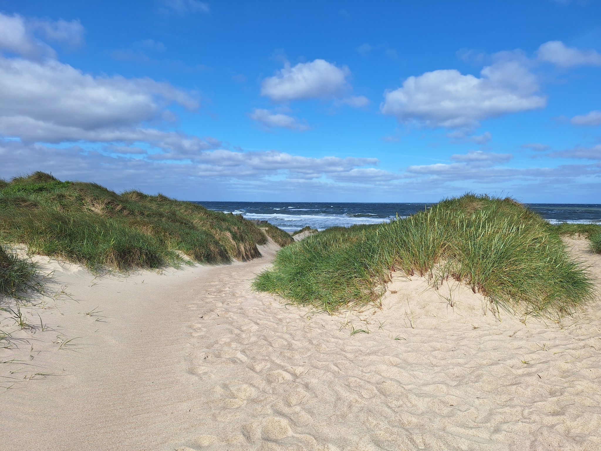Dünen an der Nordseeküste