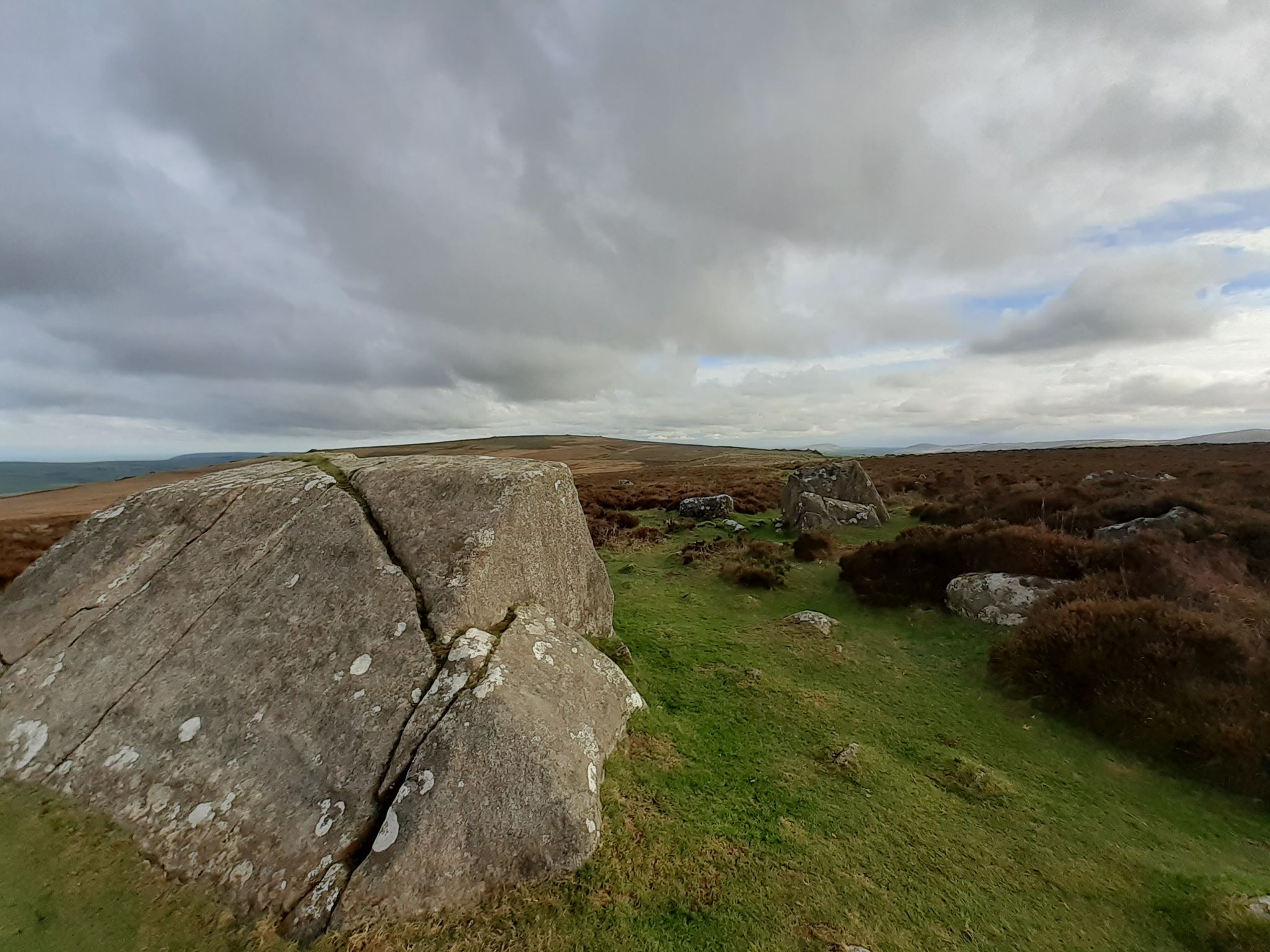 The start of the hunt for the hill top of Mynydd Caregog (311m) -  make your own path SSE of this stone