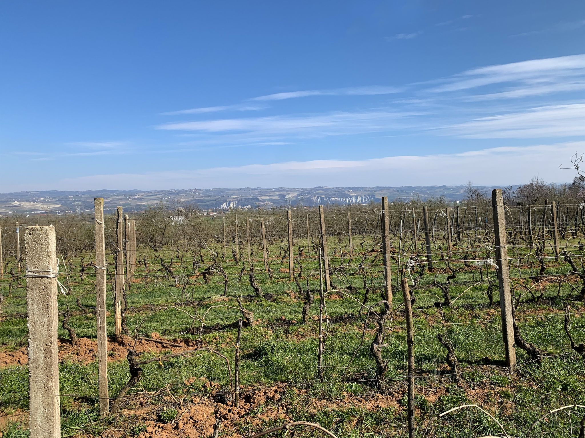 Bella vista sulle Langhe ed i caratteristici Calanchi