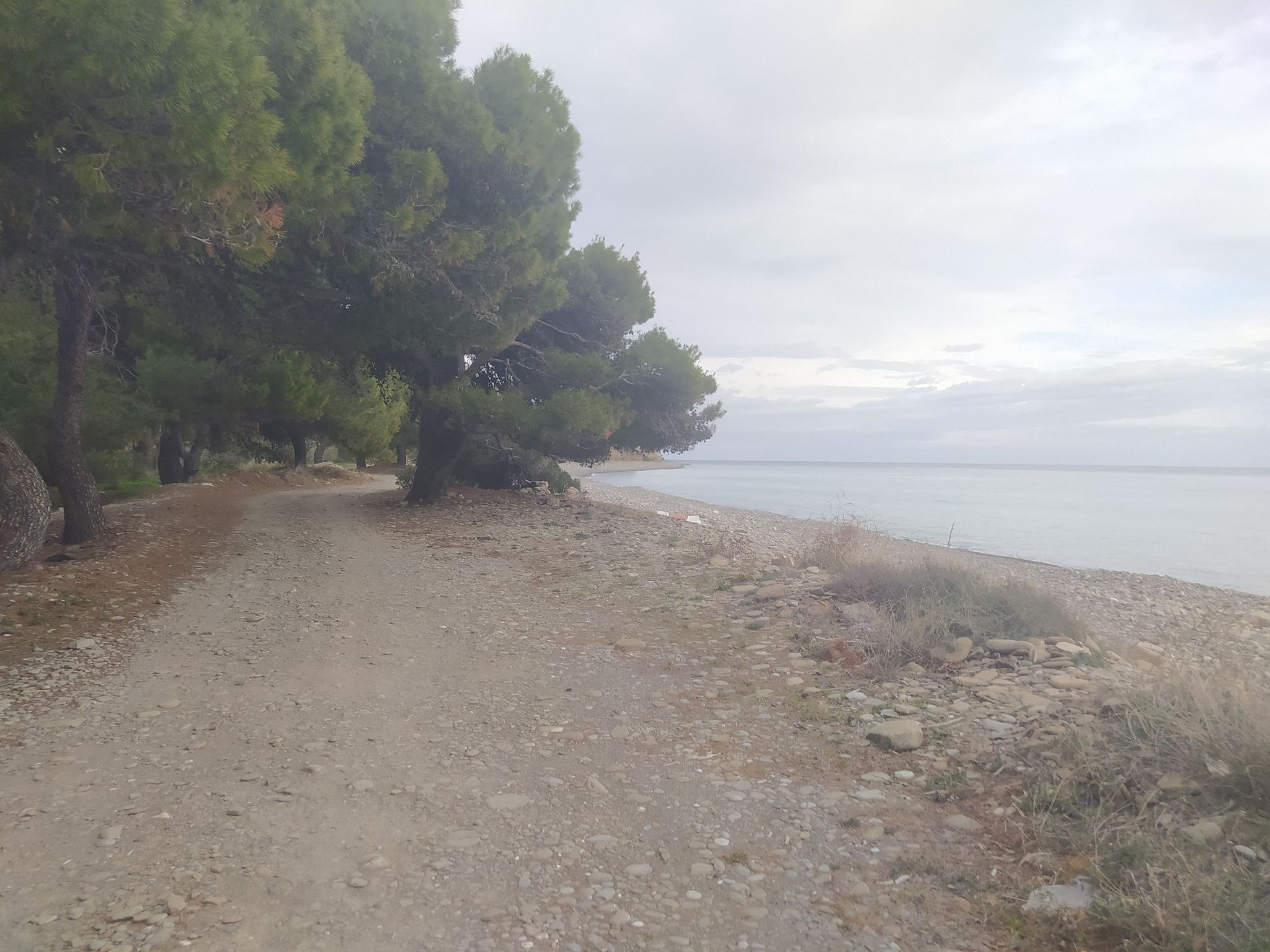 mare wowww