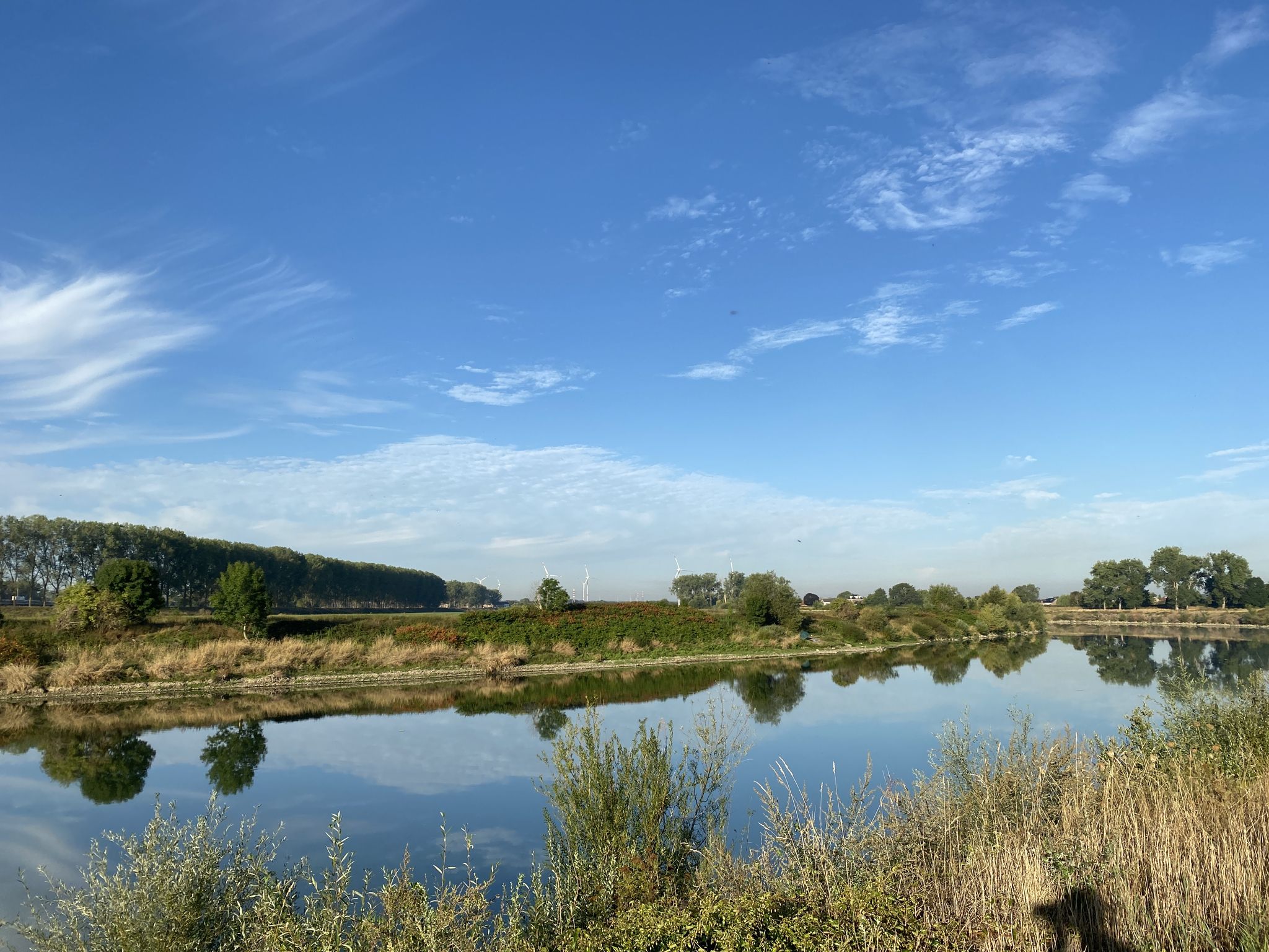 De Maas bij Meers