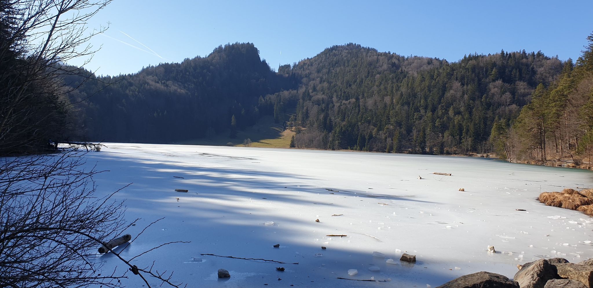 Alatsee