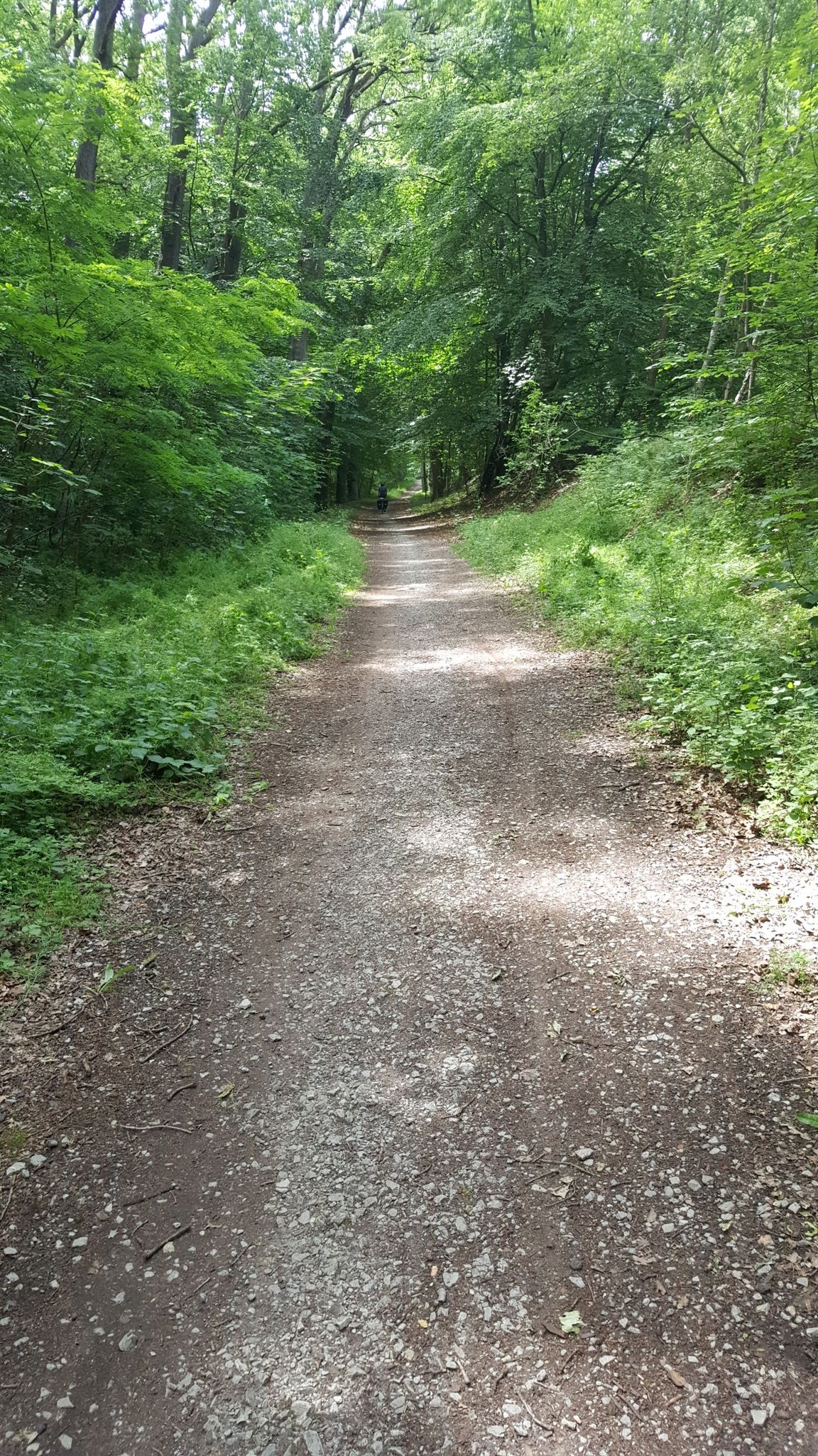 naturbelassener Radweg