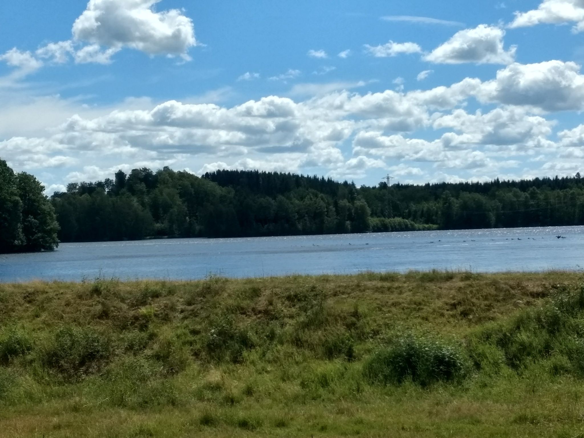 Near the picnic place