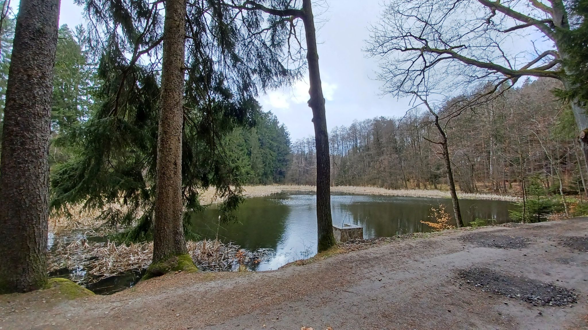 Schwarzer Teich 🦆