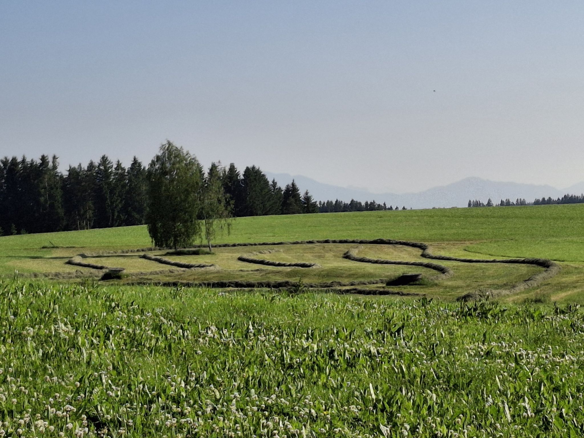 Schwadenmuster als Kunst