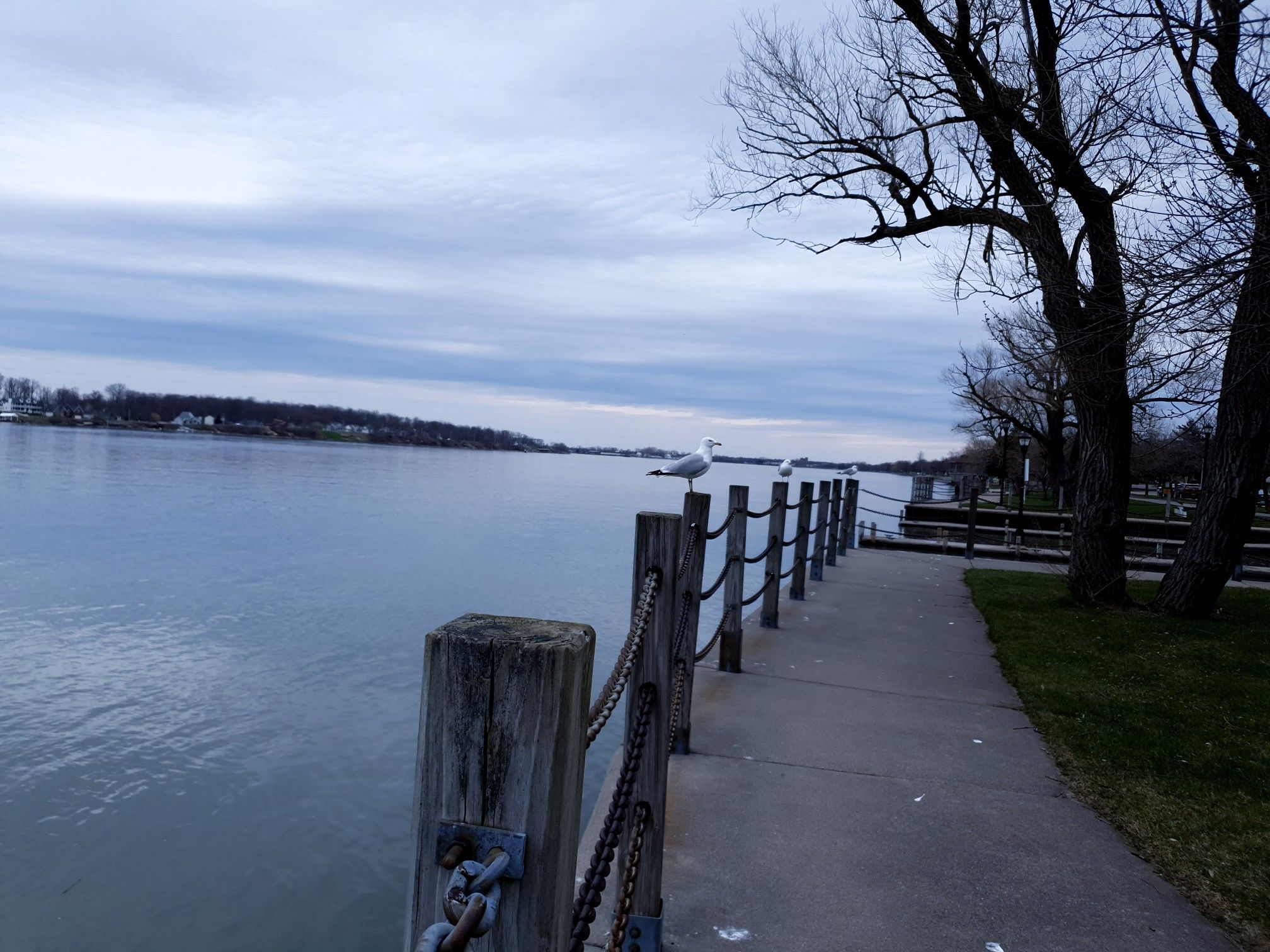 Two gulls on a pier railing overlooking calm water under a cloudy sky. - Aqua Lane Park – Isle View Park loop from North Bailey