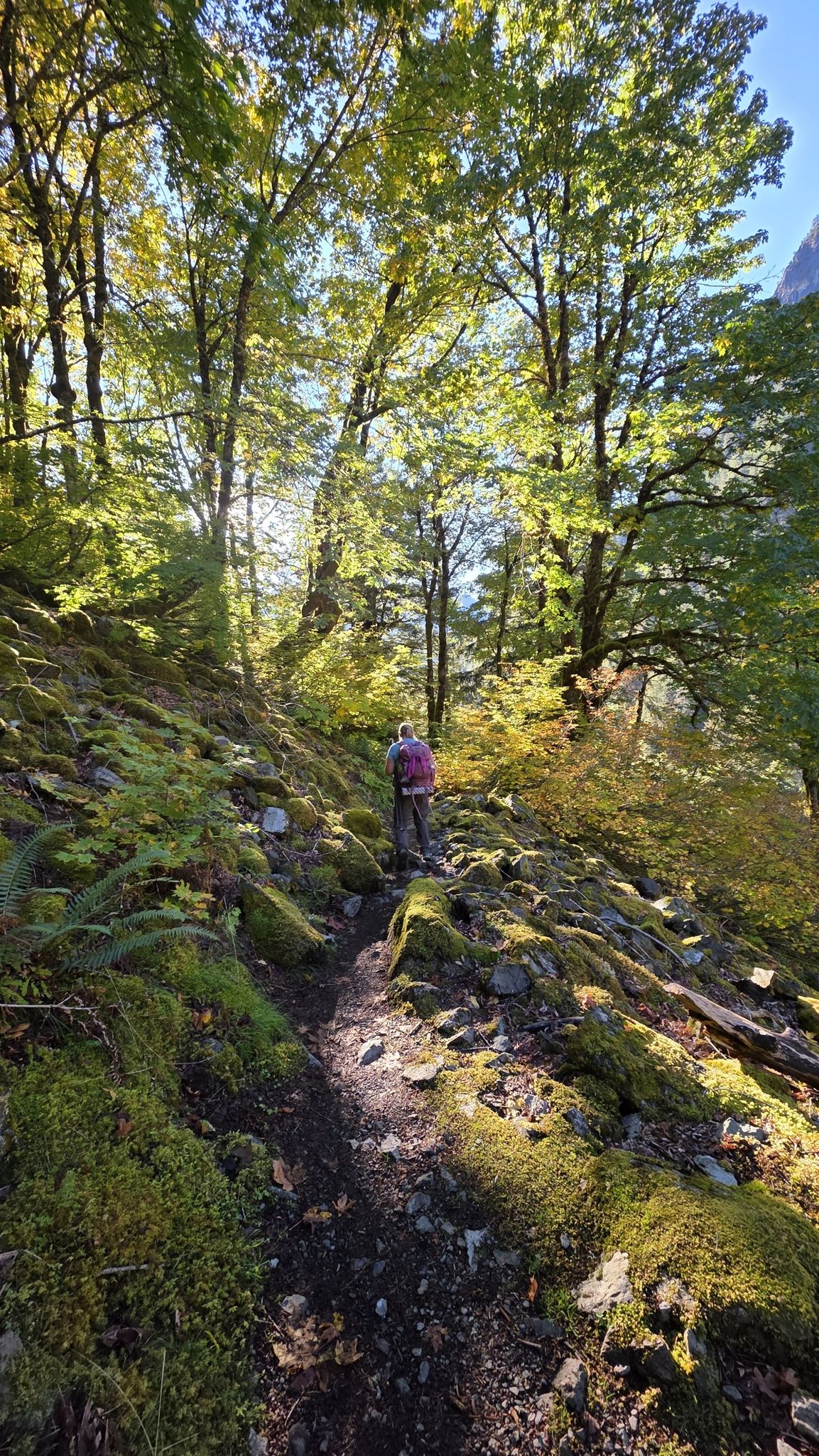A person hikes uphill on a mossy, rocky forest path in dappled sunlight. - Perry Creek Falls loop from Buck Creek Falls