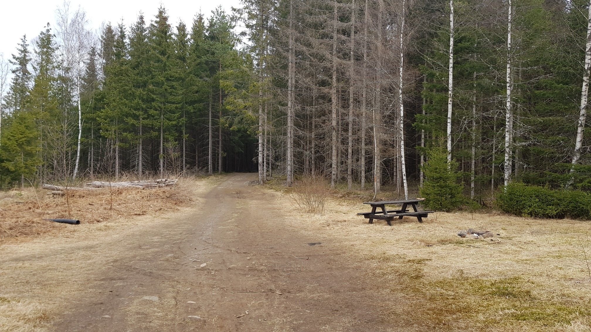Resting place 