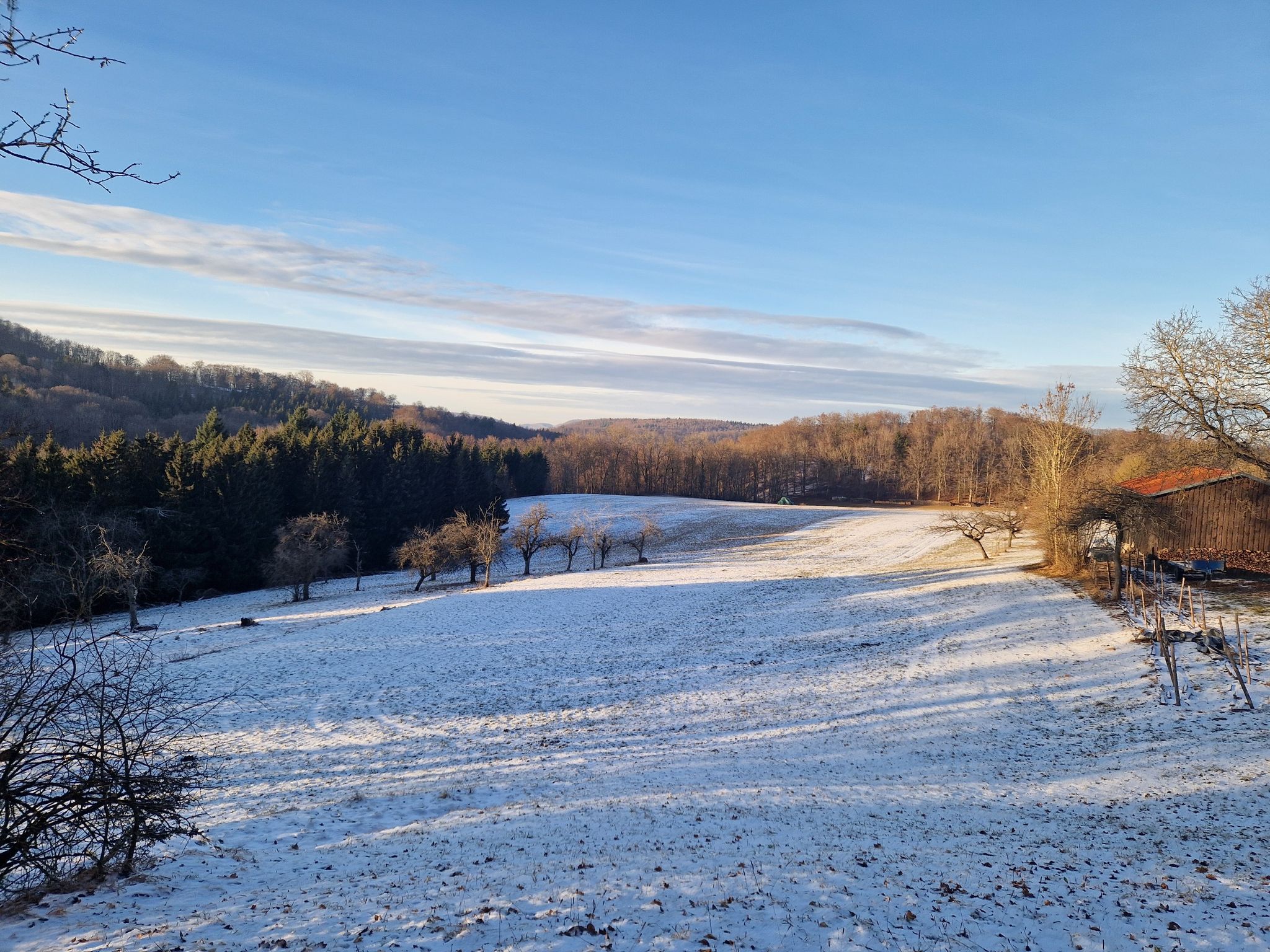 Aussicht kurz nach Rietheim