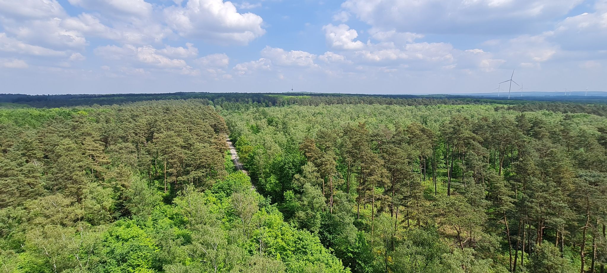 Blick über den Naturpark Hohe Mark