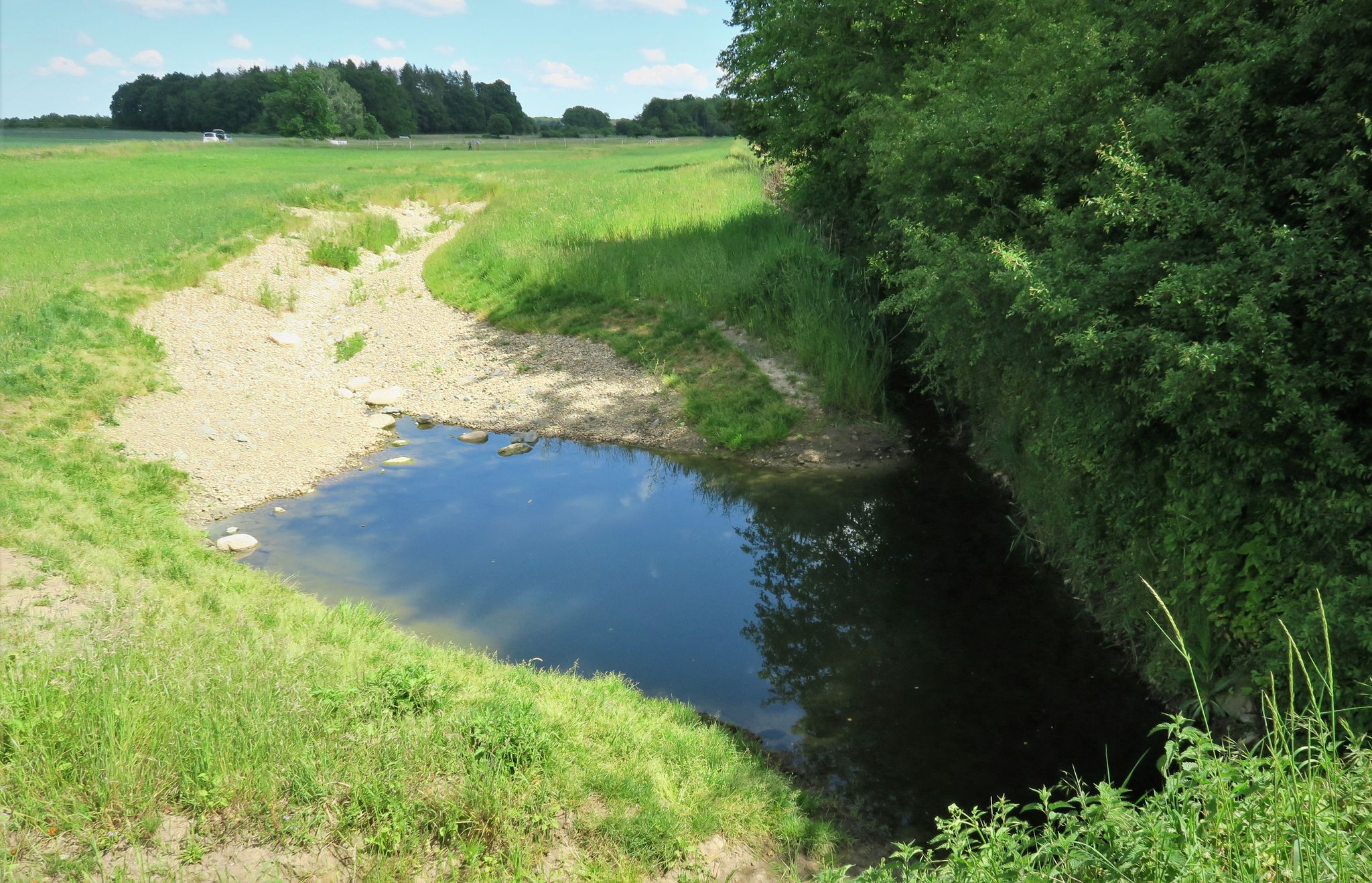 Renaturierungsbereich zwischen Waggum und Bevenrode