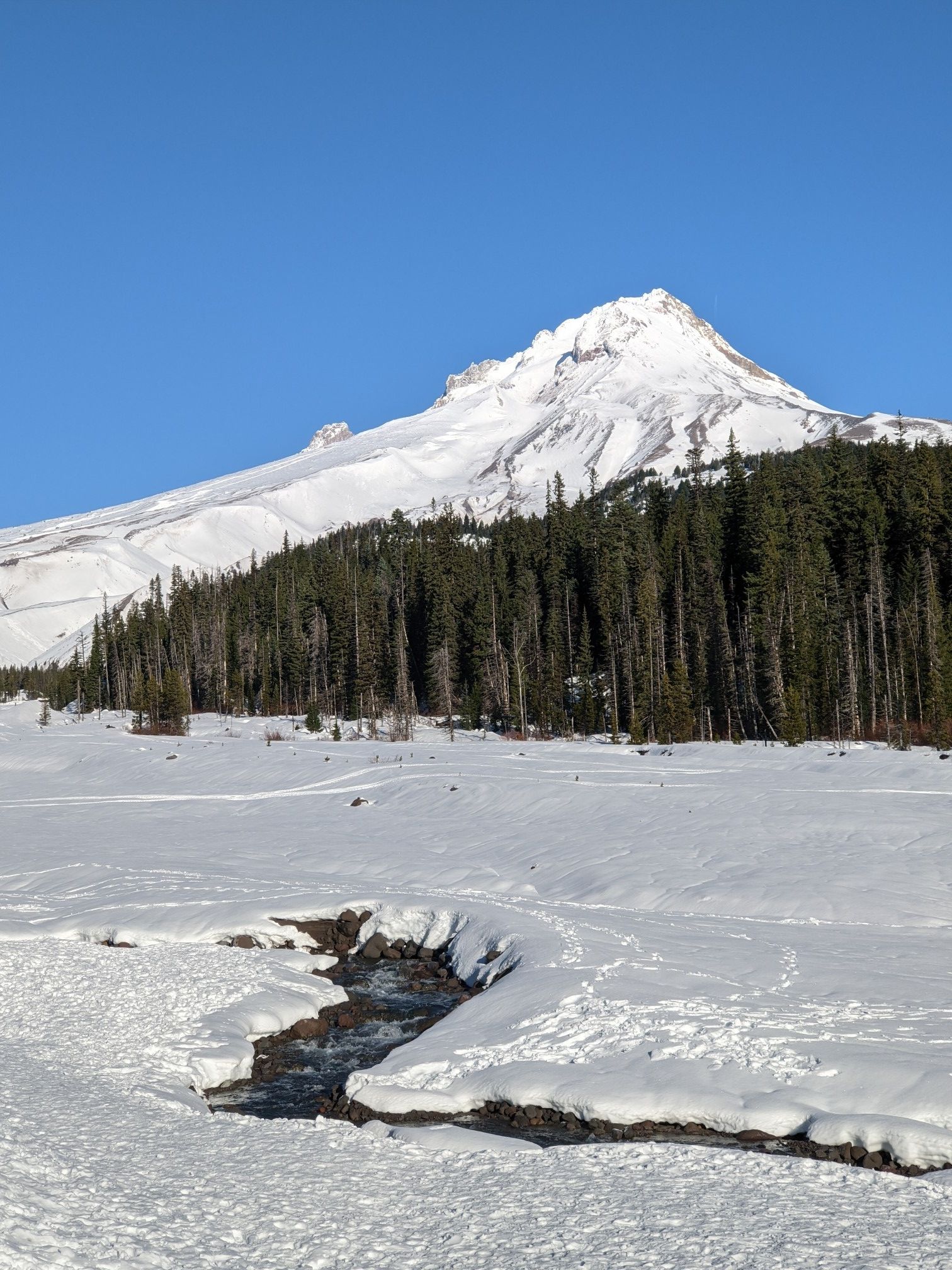 Sunny winter scene with a snow-covered mountain, evergreen forest, and flowing stream. - White River Trail