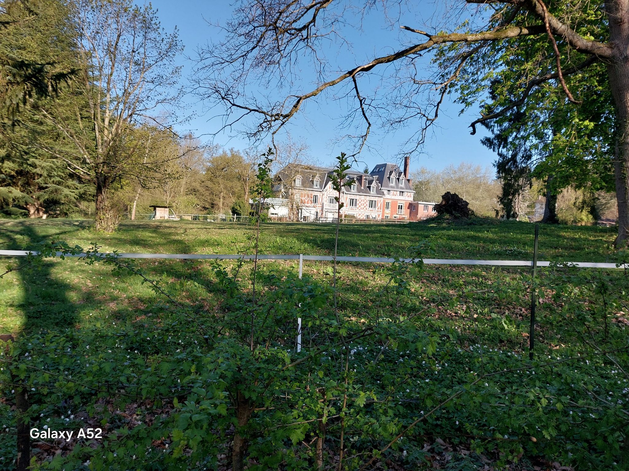 domaine aux loups