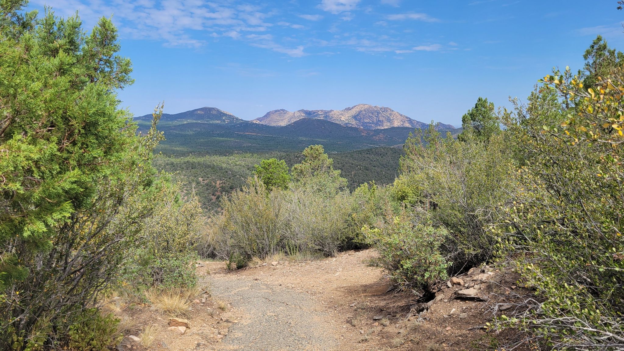 Dirt path through green foliage leading to distant mountains under a clear sky. - Prescott Circle and Thumb Butte Loop