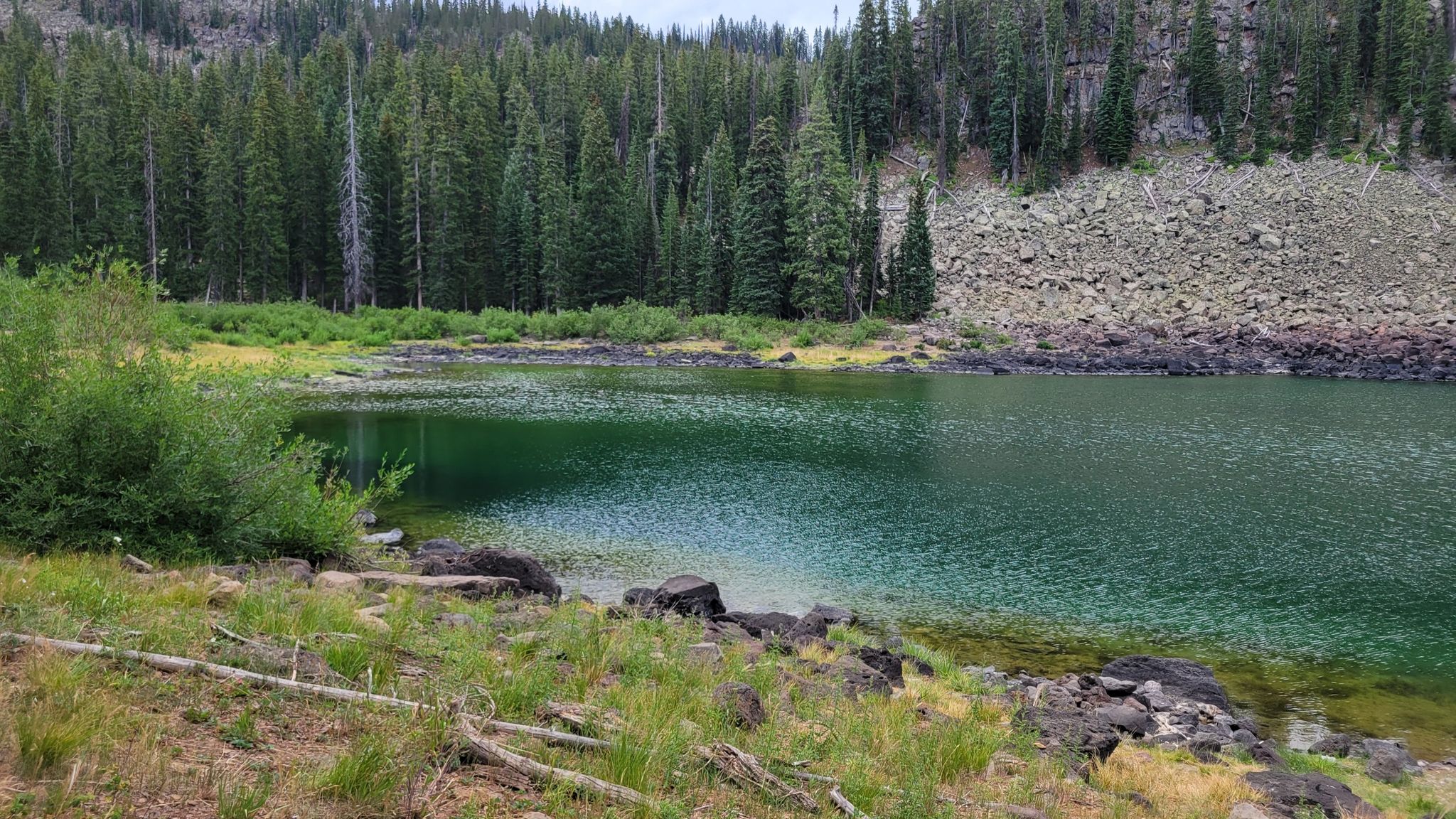 Green-blue lake surrounded by dense pine forest and rocky slopes under diffused light. - Lost Lake Trail