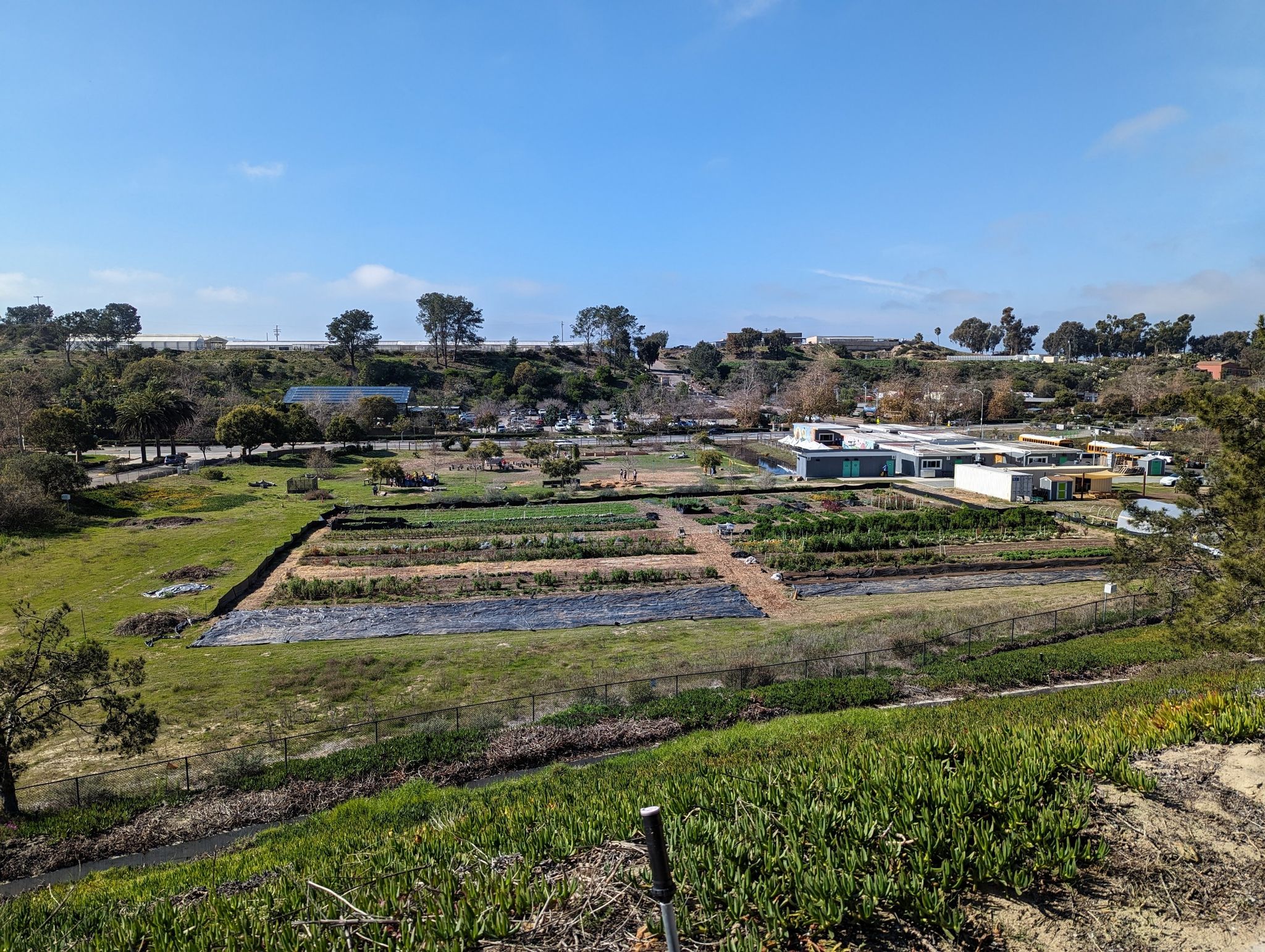 Aerial view of sunny community garden plots with distant buildings. - Encinitas Ranch Trail