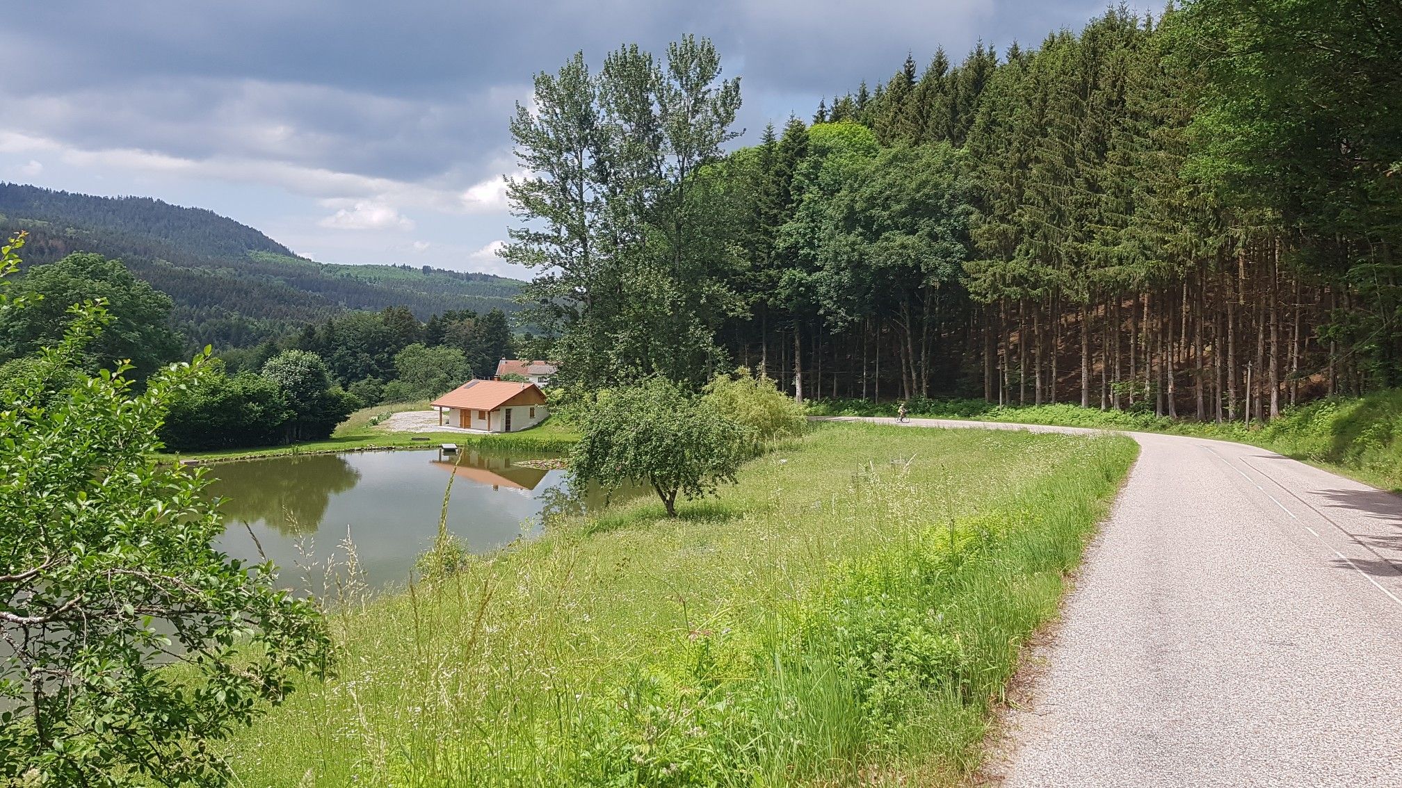 Haus mit Seerosenteich