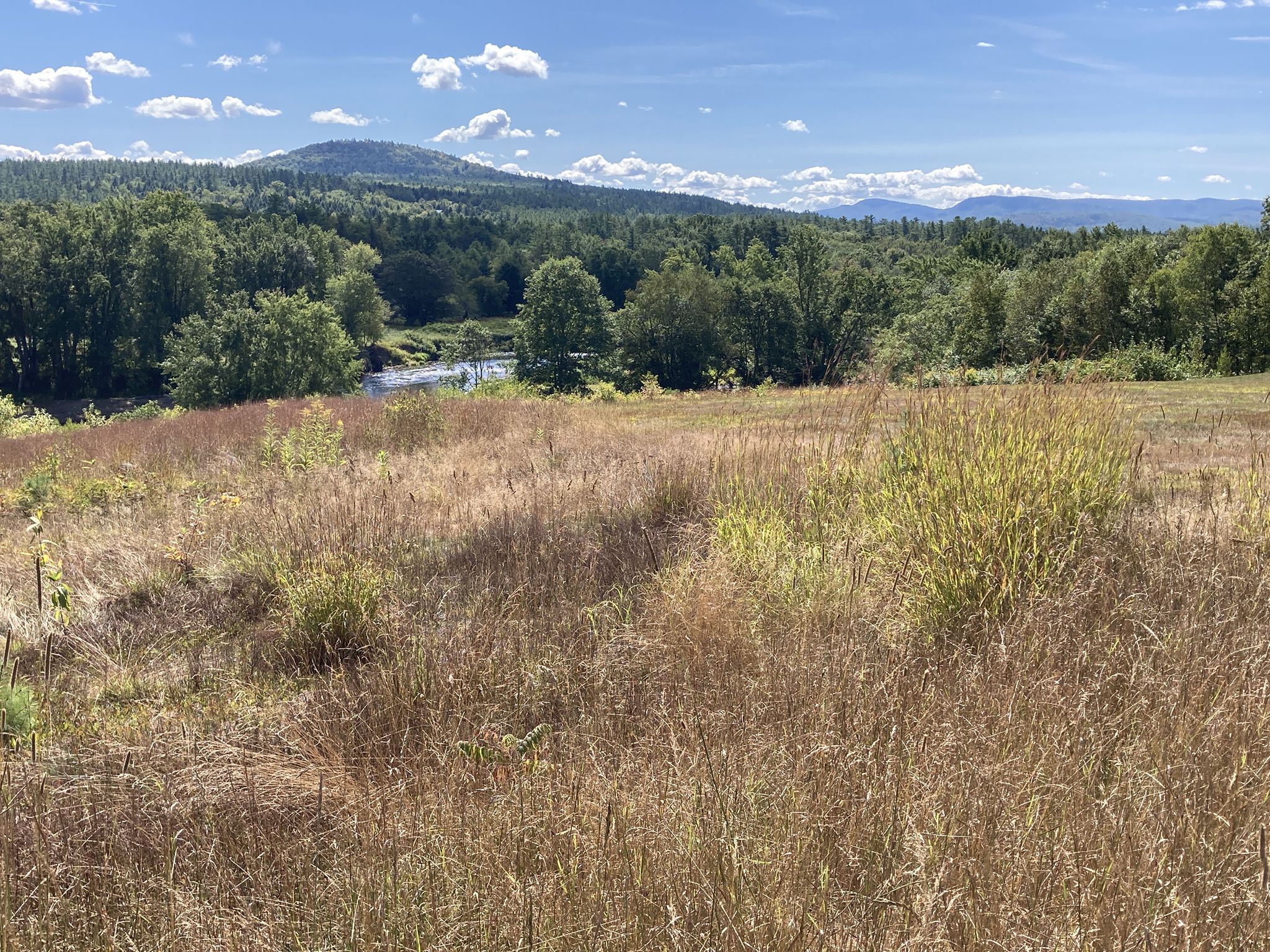 Golden tall grass in foreground, with a river and forested hills beyond. - Cross New Hampshire Adventure Trail Loop