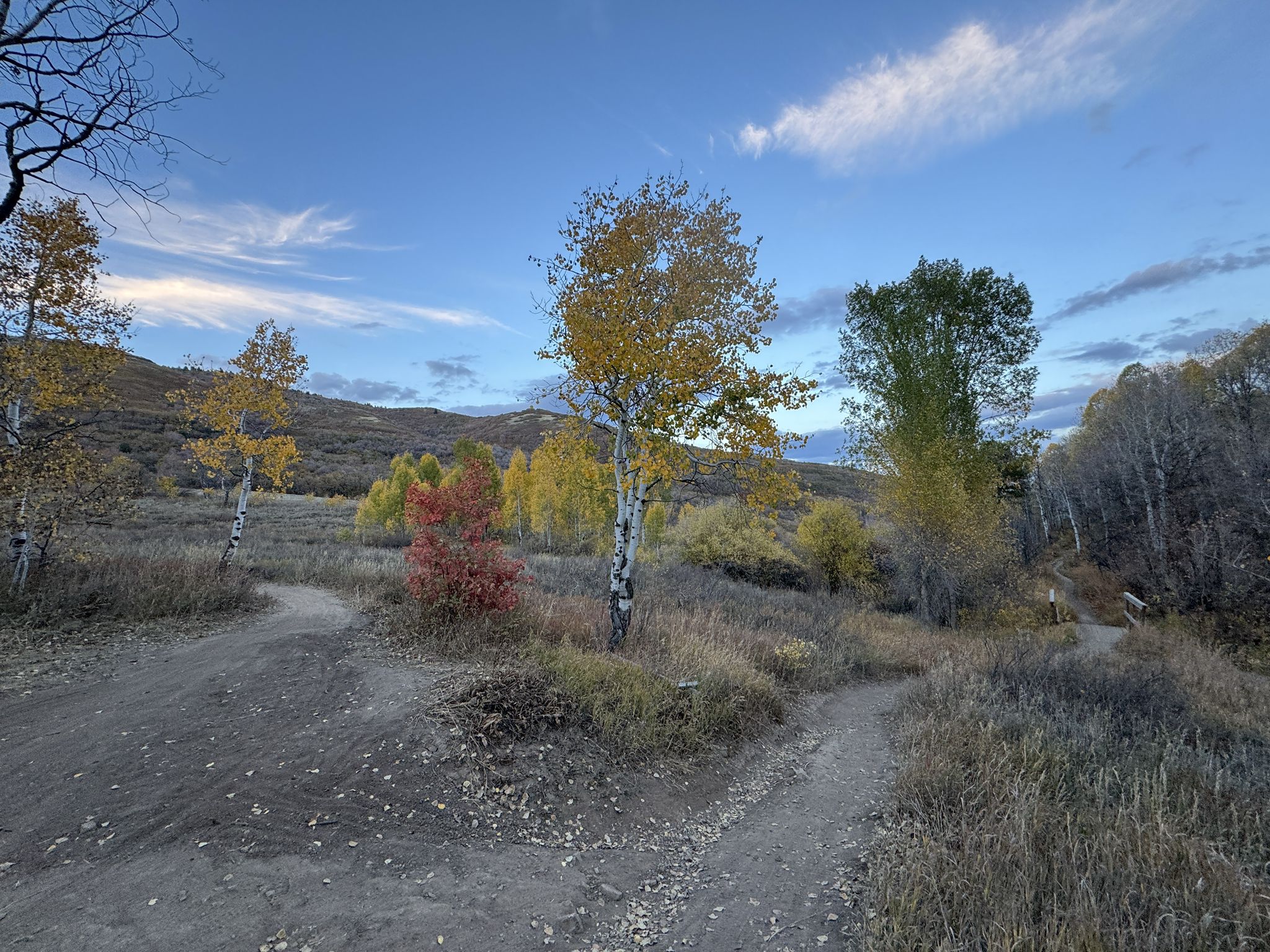 Dirt path splitting in a field with scattered autumn trees under a cloudy sky. - Green Pond loop from Snowbasin Resort