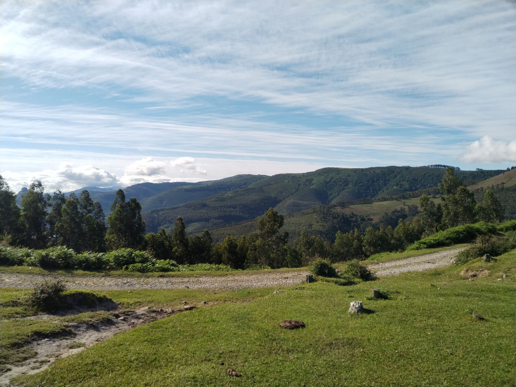 Alto de la mina