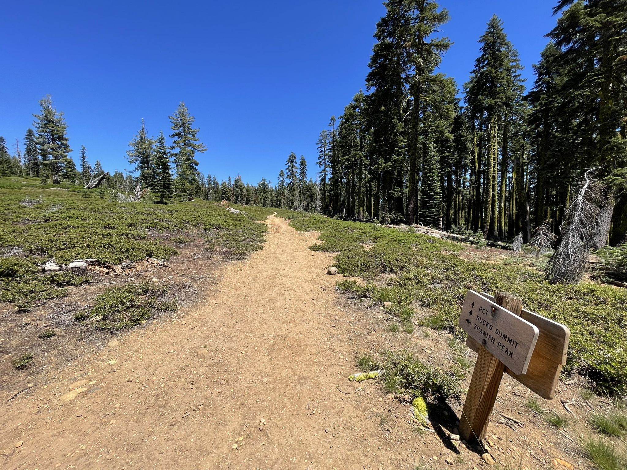 A wide dirt path through sparse green brush, with a wooden sign and pine forest. - Silver Lake to Spanish Peak Trail