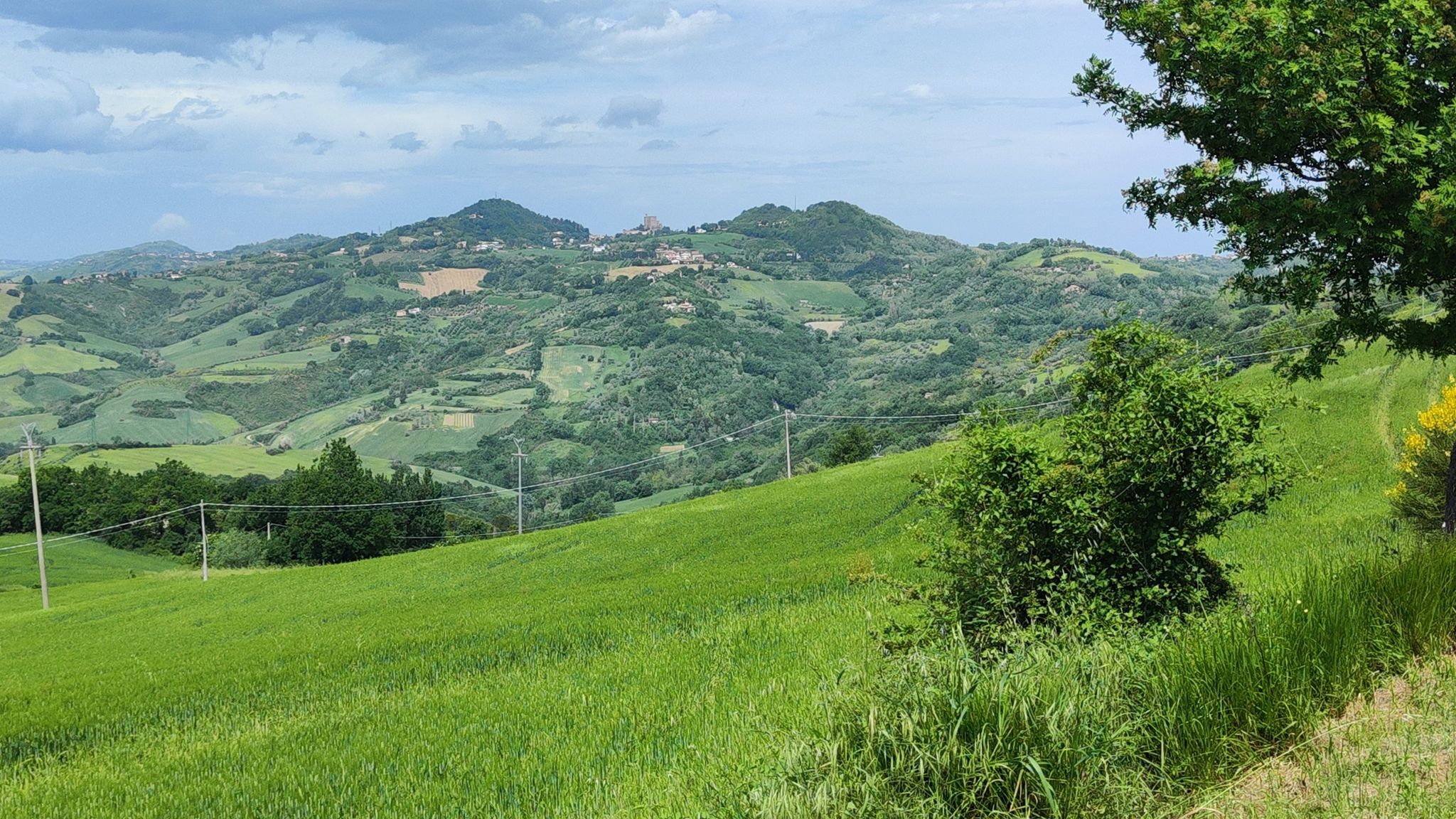 Montefiori
