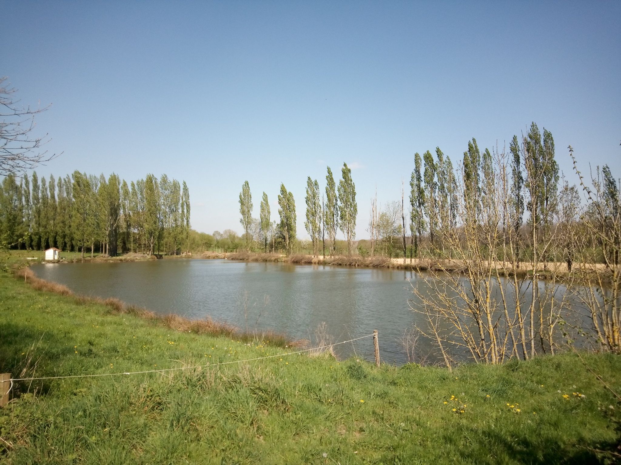 Étang