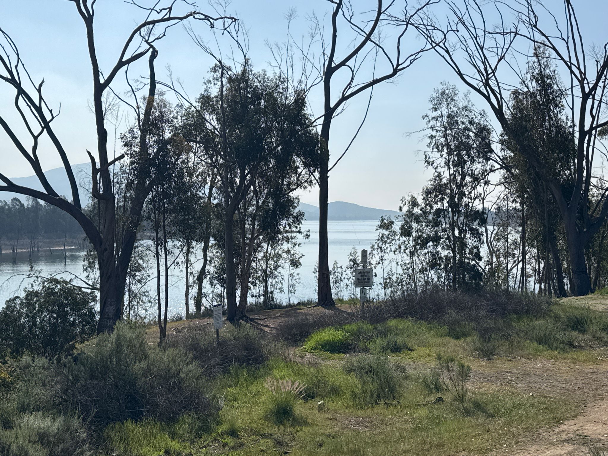 Bare and leafy trees frame a calm lake under an overcast sky. - Lower Otay Reservoir: East Trail