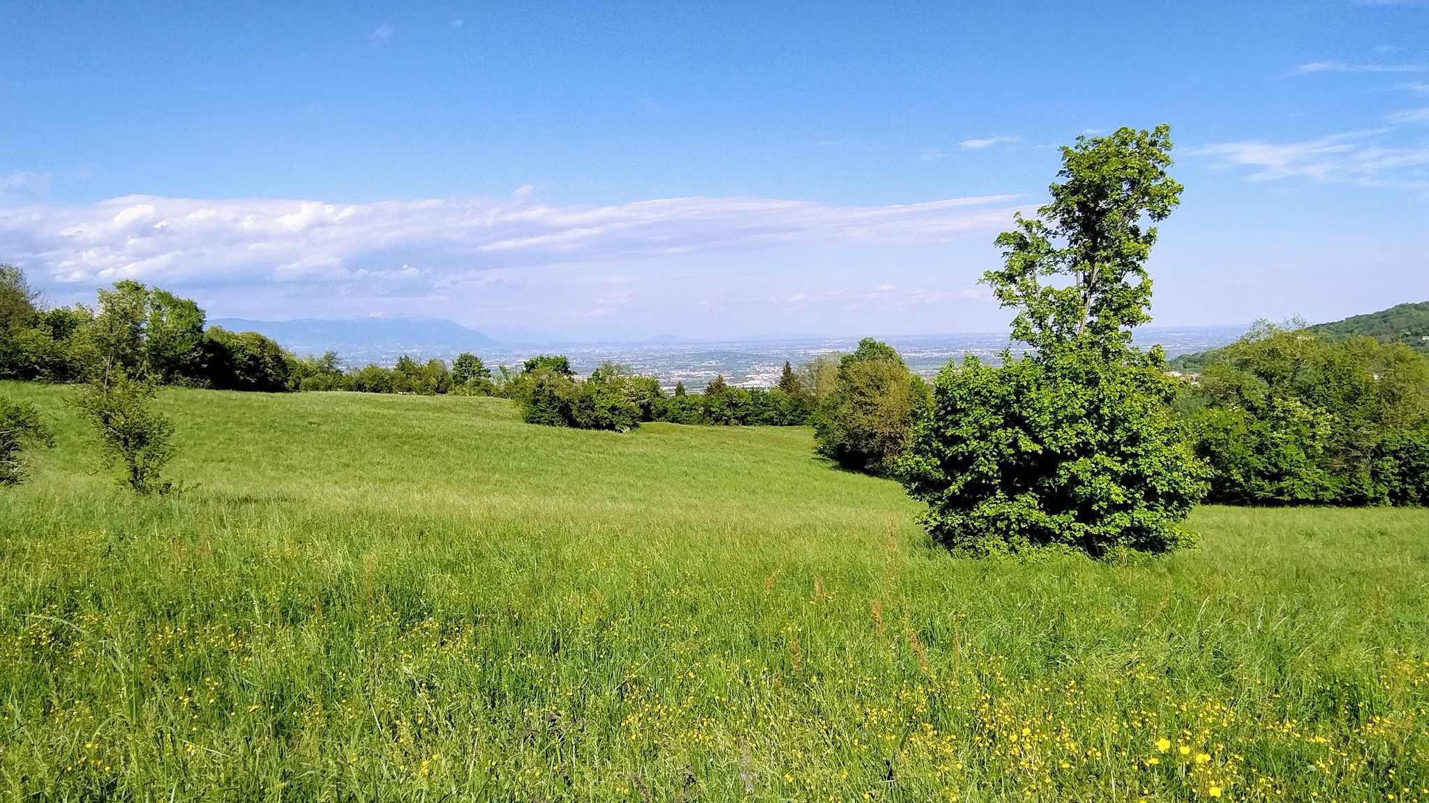si intravede il Grappa e lontano lontano il Montello