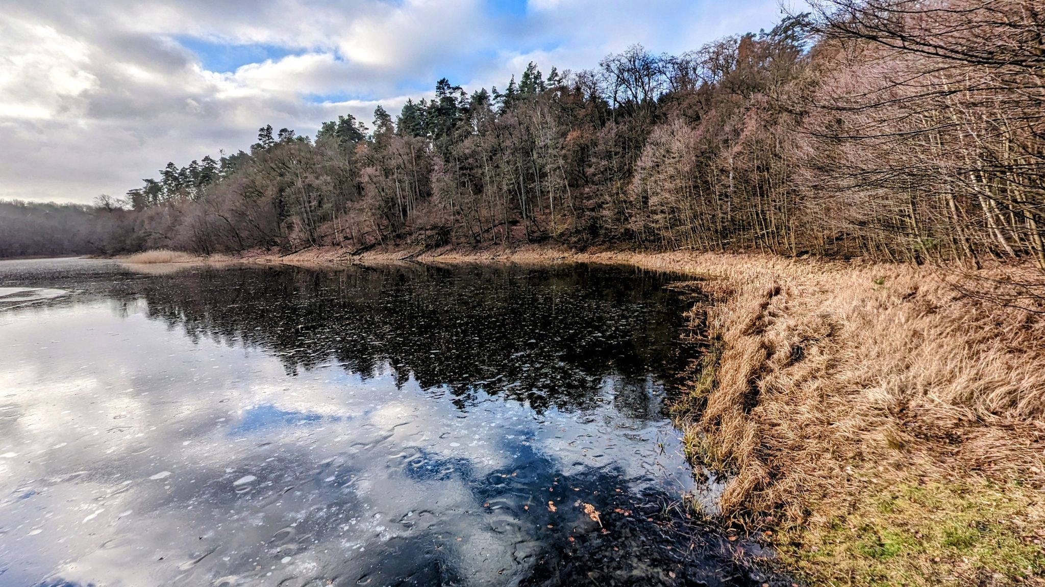 Der große Lattsee