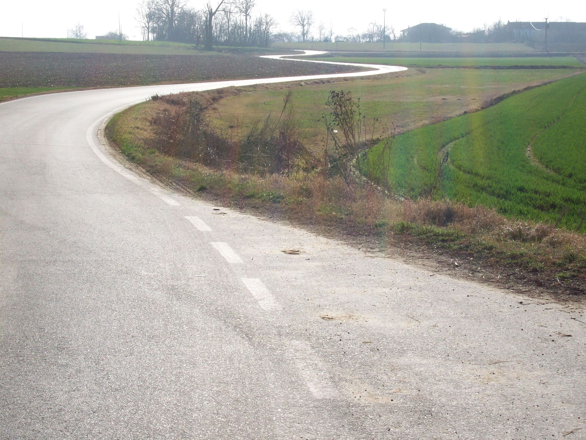 Bellissima strada