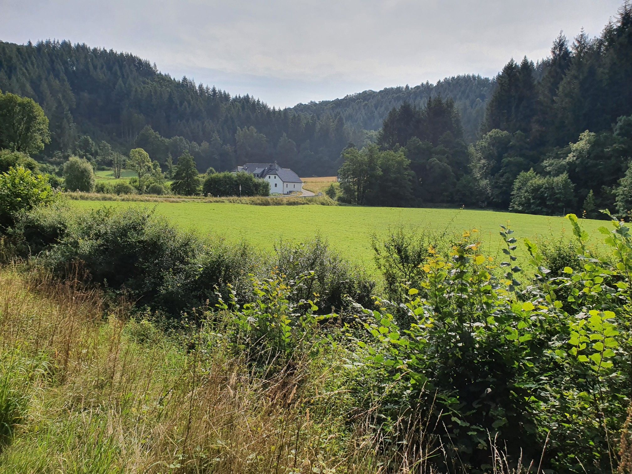 Hontheimer Mühle