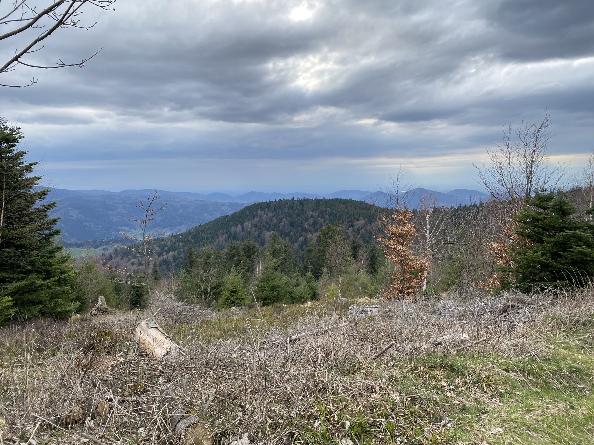 Blick über Gernsbach und den Merkur bis zur Rheinebene