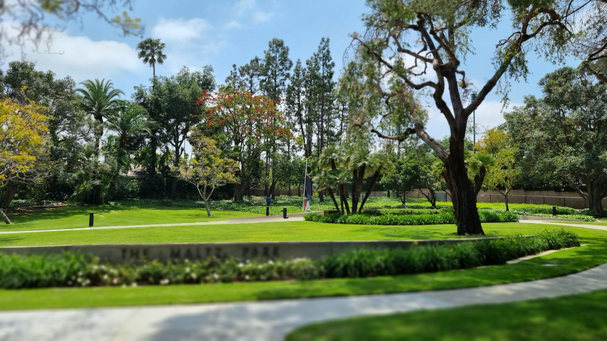 A lush green park with various trees and winding paved paths. - Beverly Hills Sign – Beverly Wilshire Hotel loop from West Hollywood