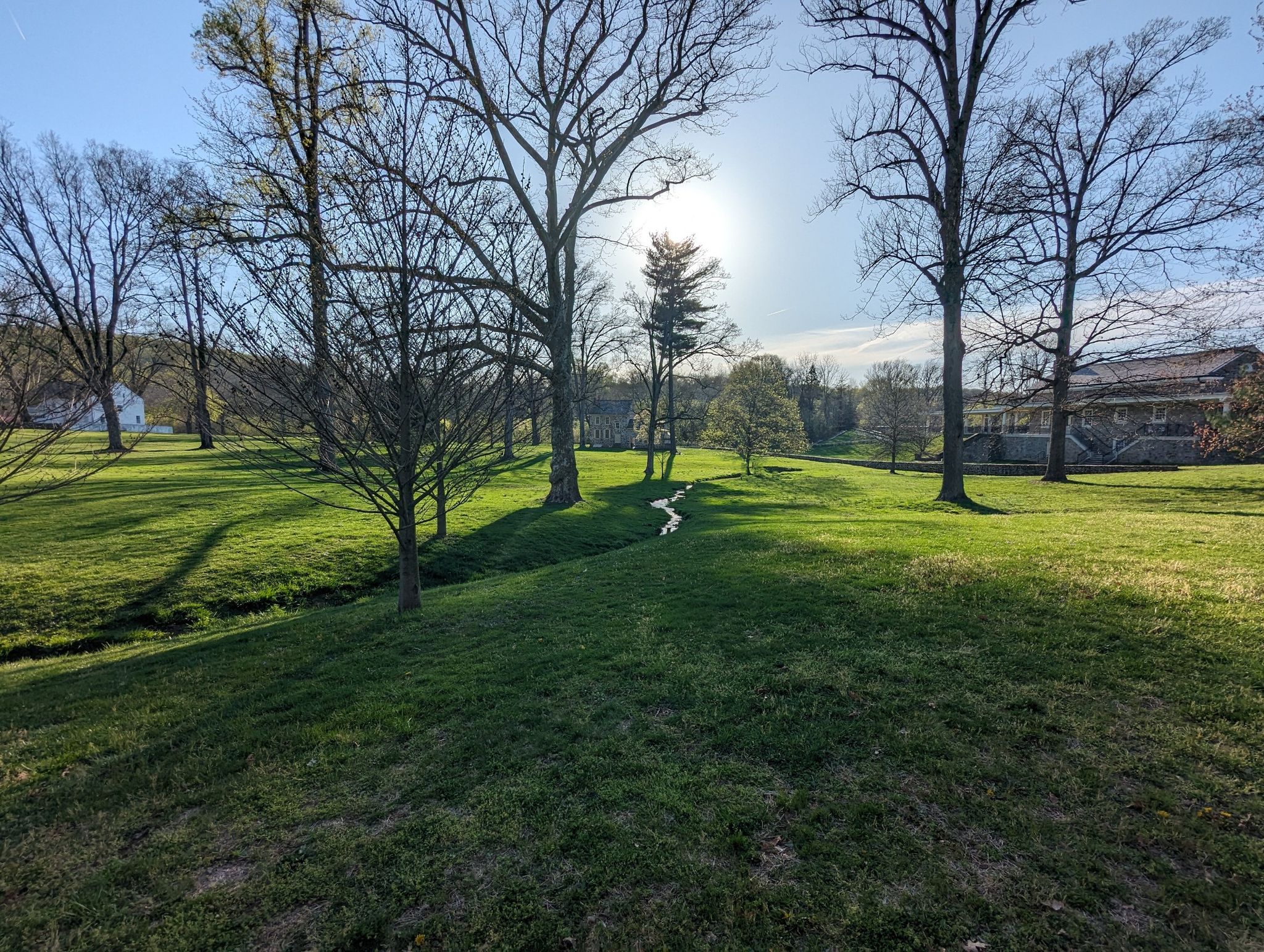 Sunny grassy field with scattered trees and a small stream, bright sun. - Washington's Headquarters Loop