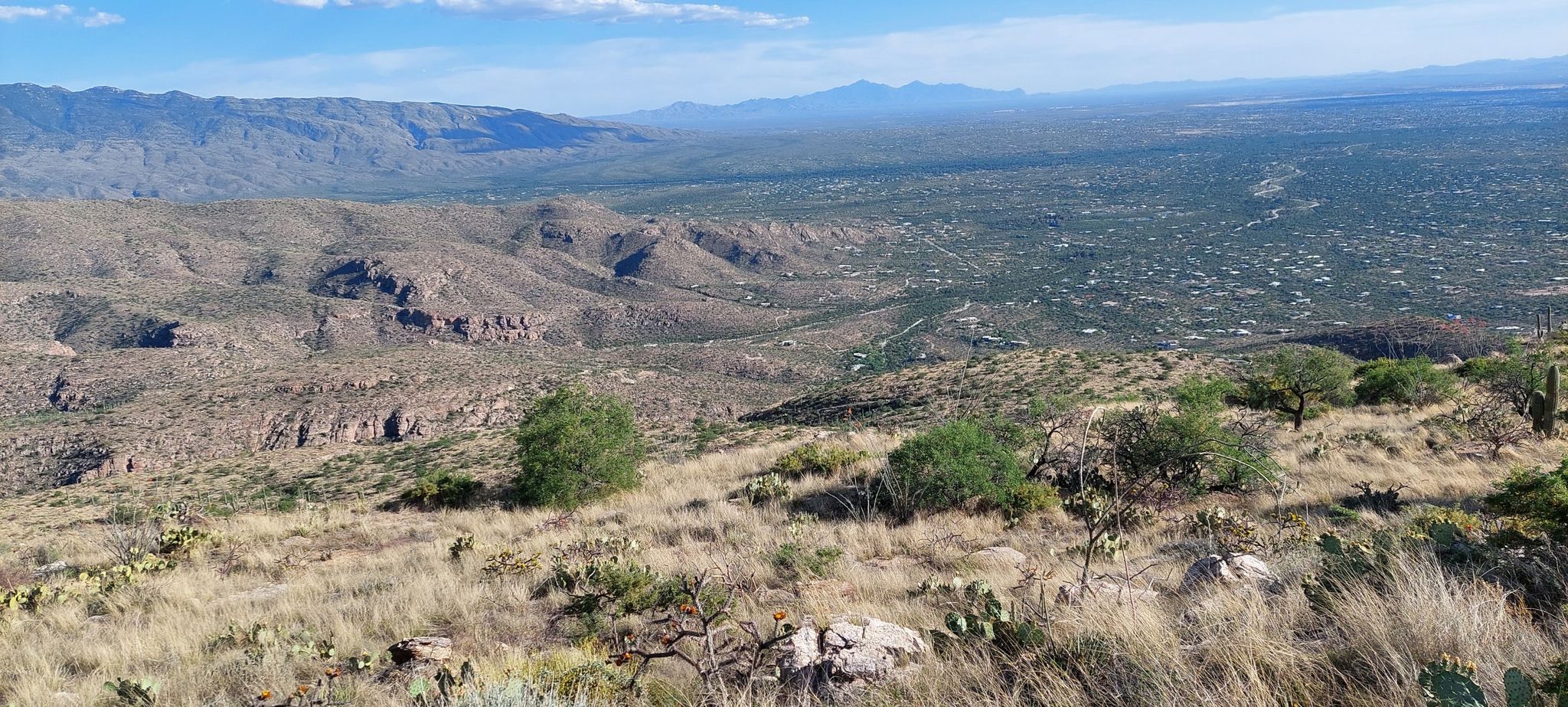 Expansive desert landscape with mountains, sparse vegetation, and a clear sky. - Babad Do'ag Trail