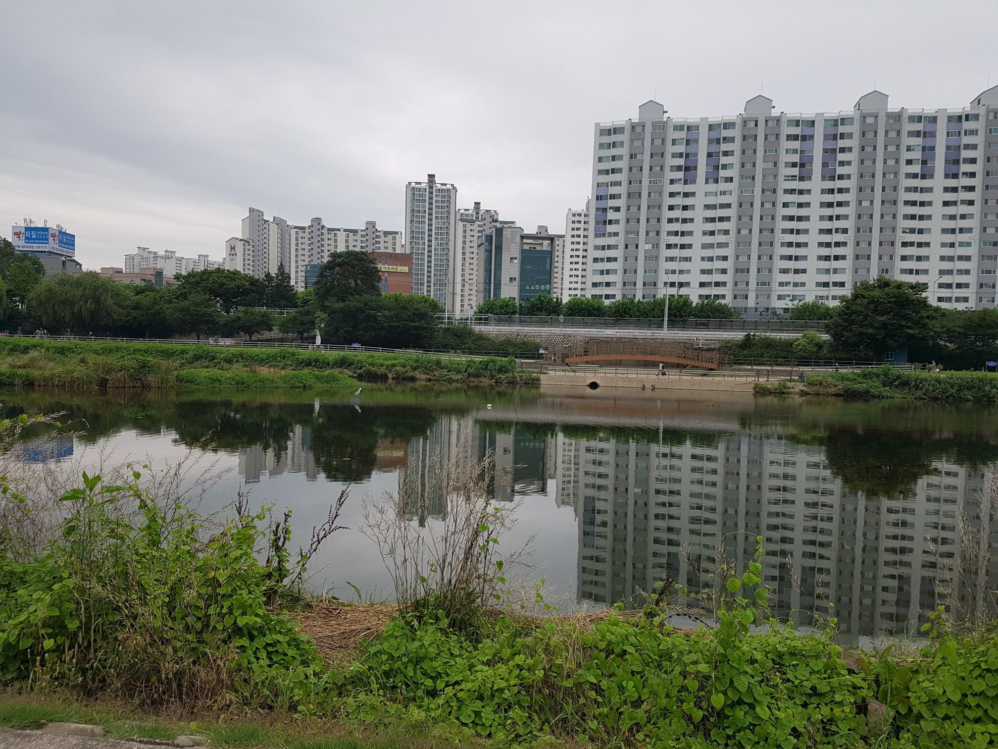 peace and tranquility in Daegu