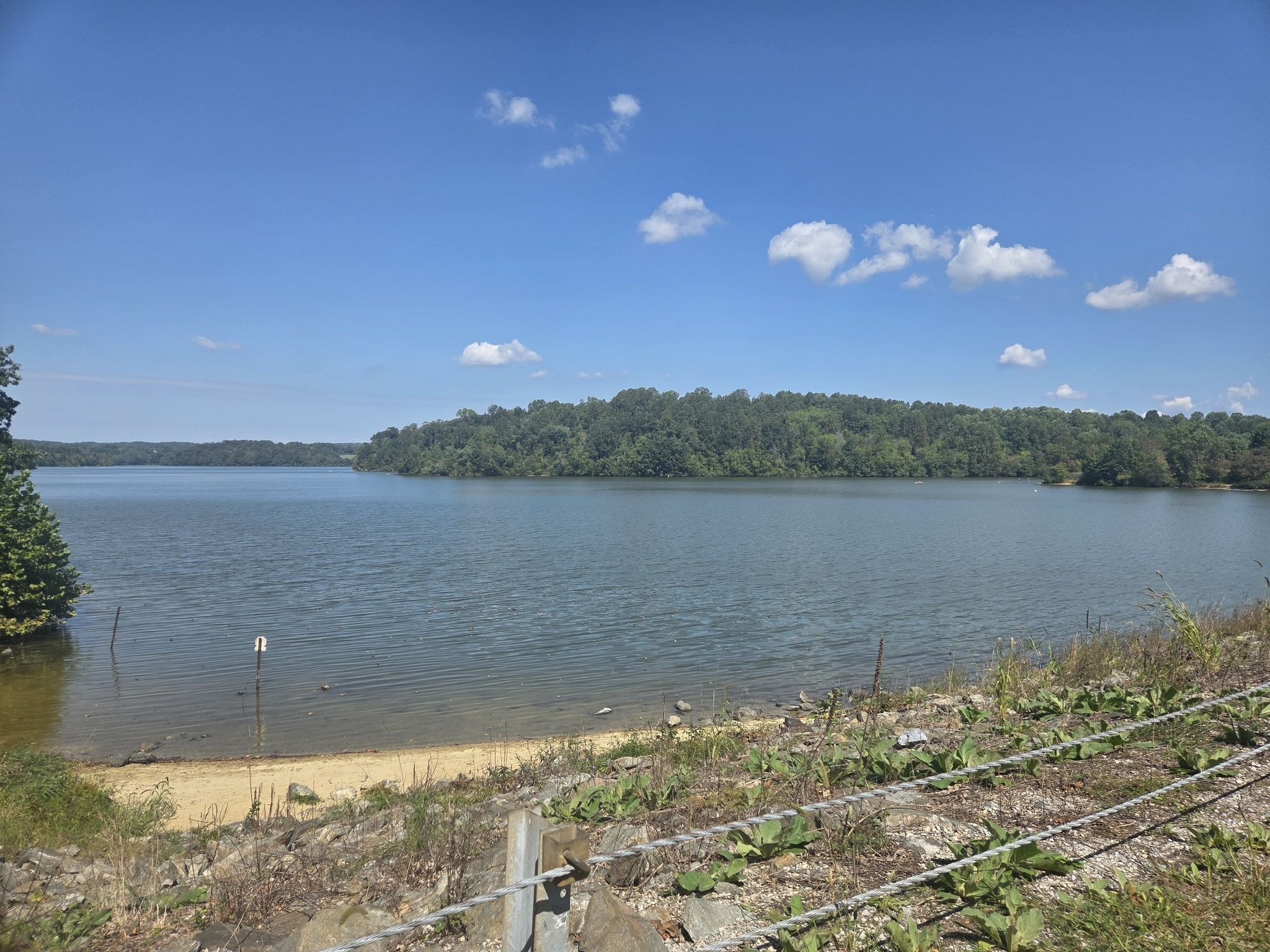 A wide lake with a sandy shore, surrounded by green forests under a blue sky. - Yellow Trail